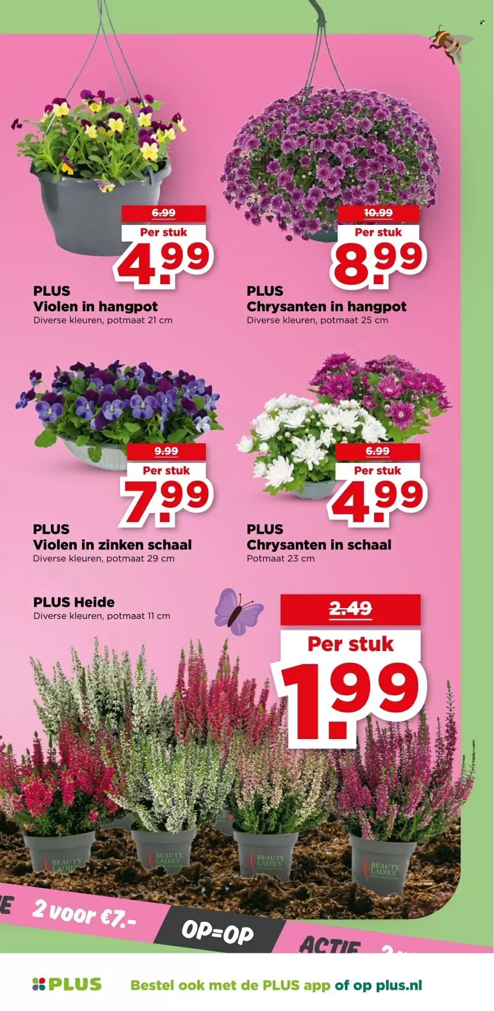 PLUS folder - Van woensdag 24 september 2025 (2025-09-24 - 2025-09-30)
