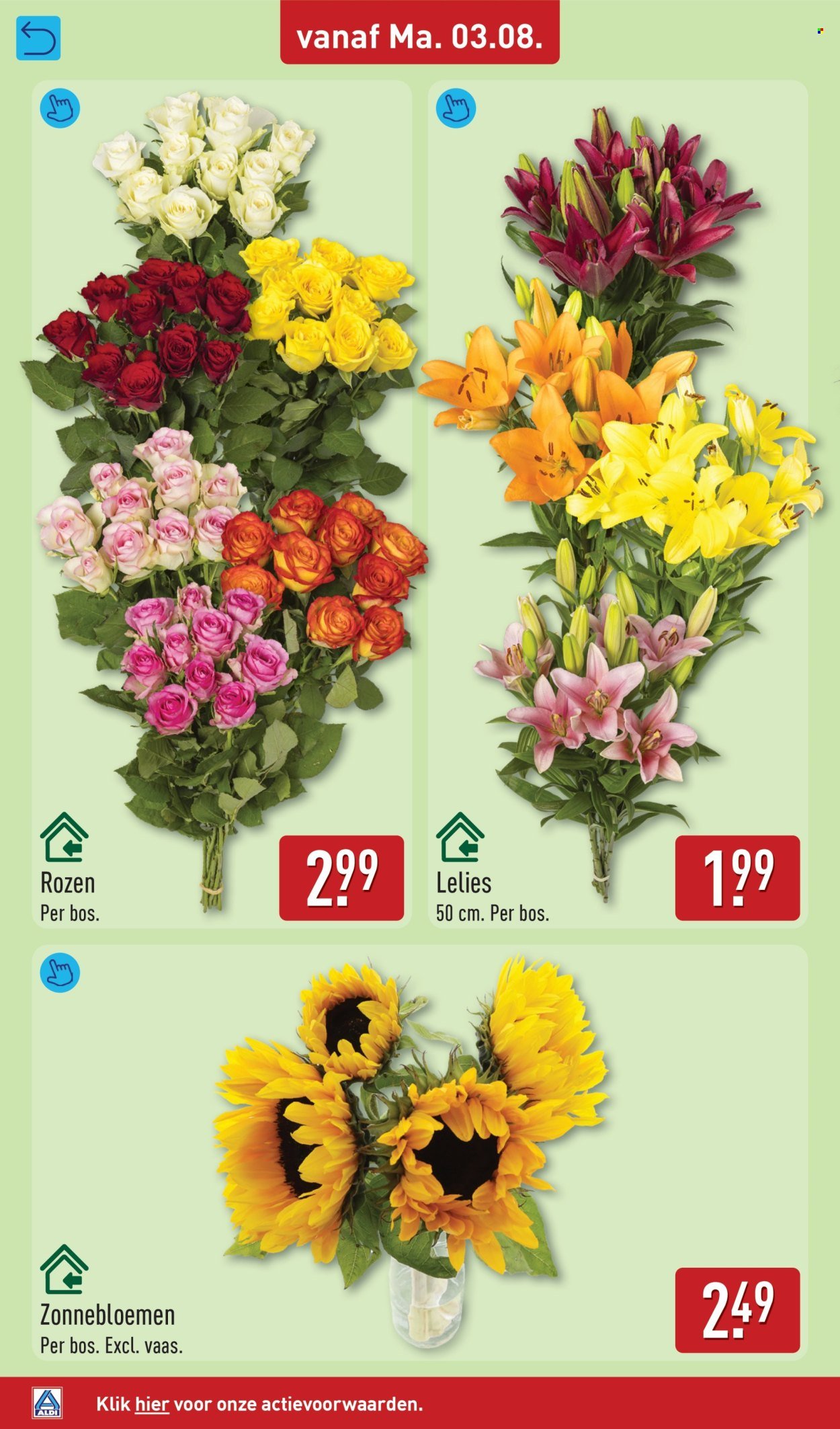 ALDI folder - Van maandag 3 augustus 2026