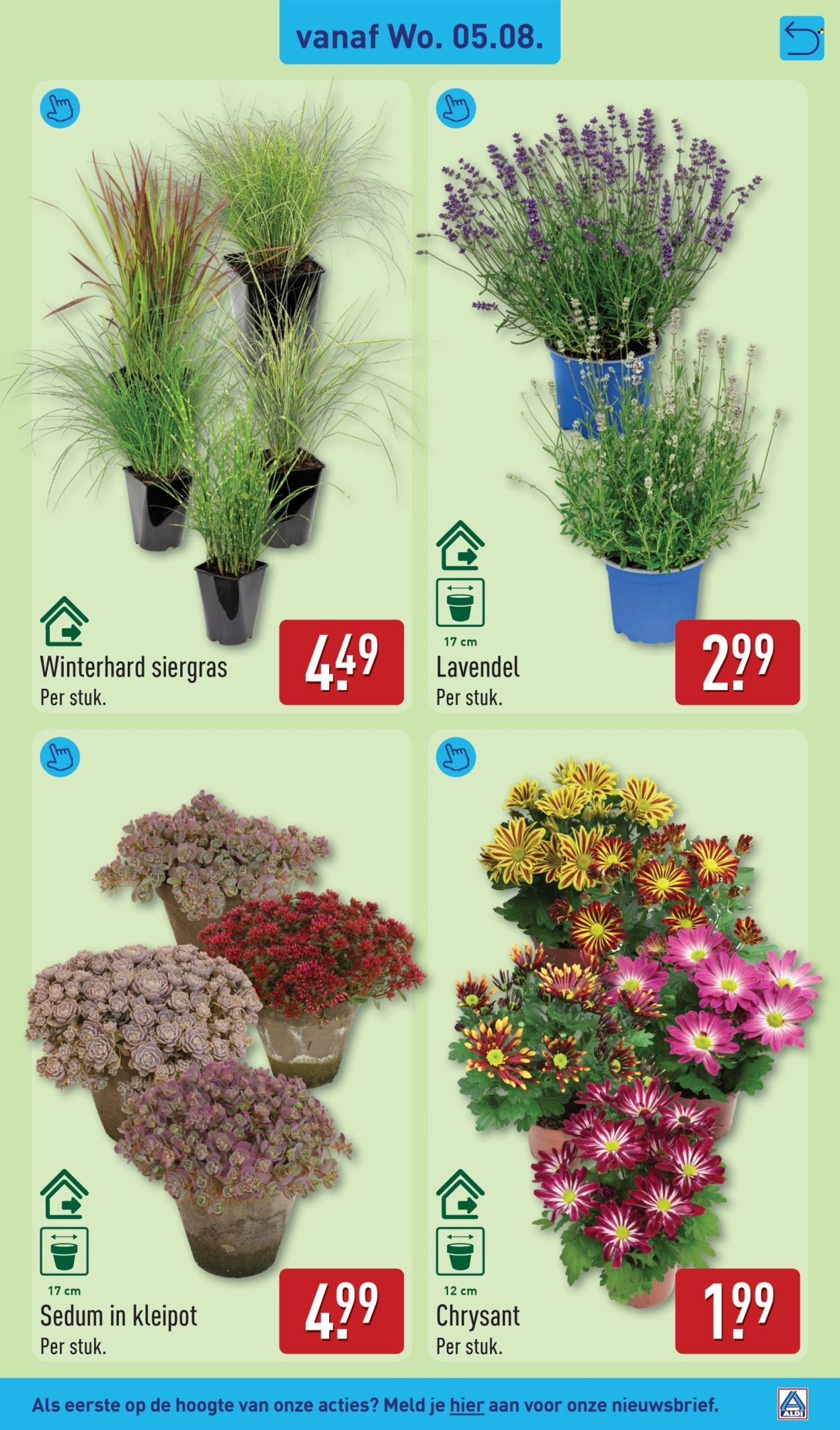 ALDI folder - Van maandag 3 augustus 2026