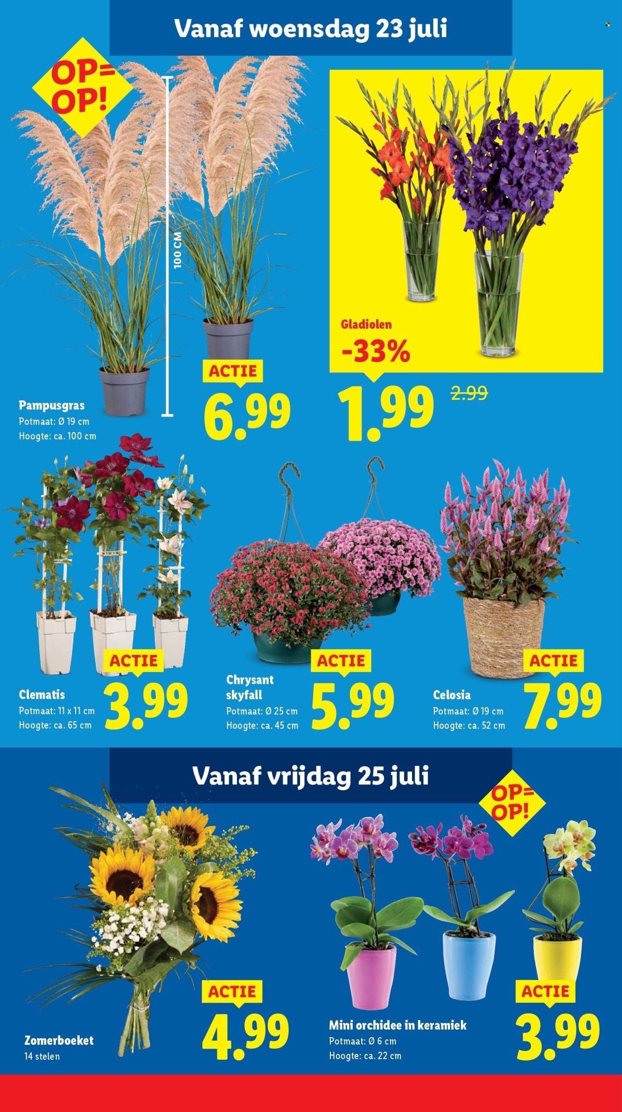LIDL folder - Week 30 (2025-07-21 - 2025-07-27)