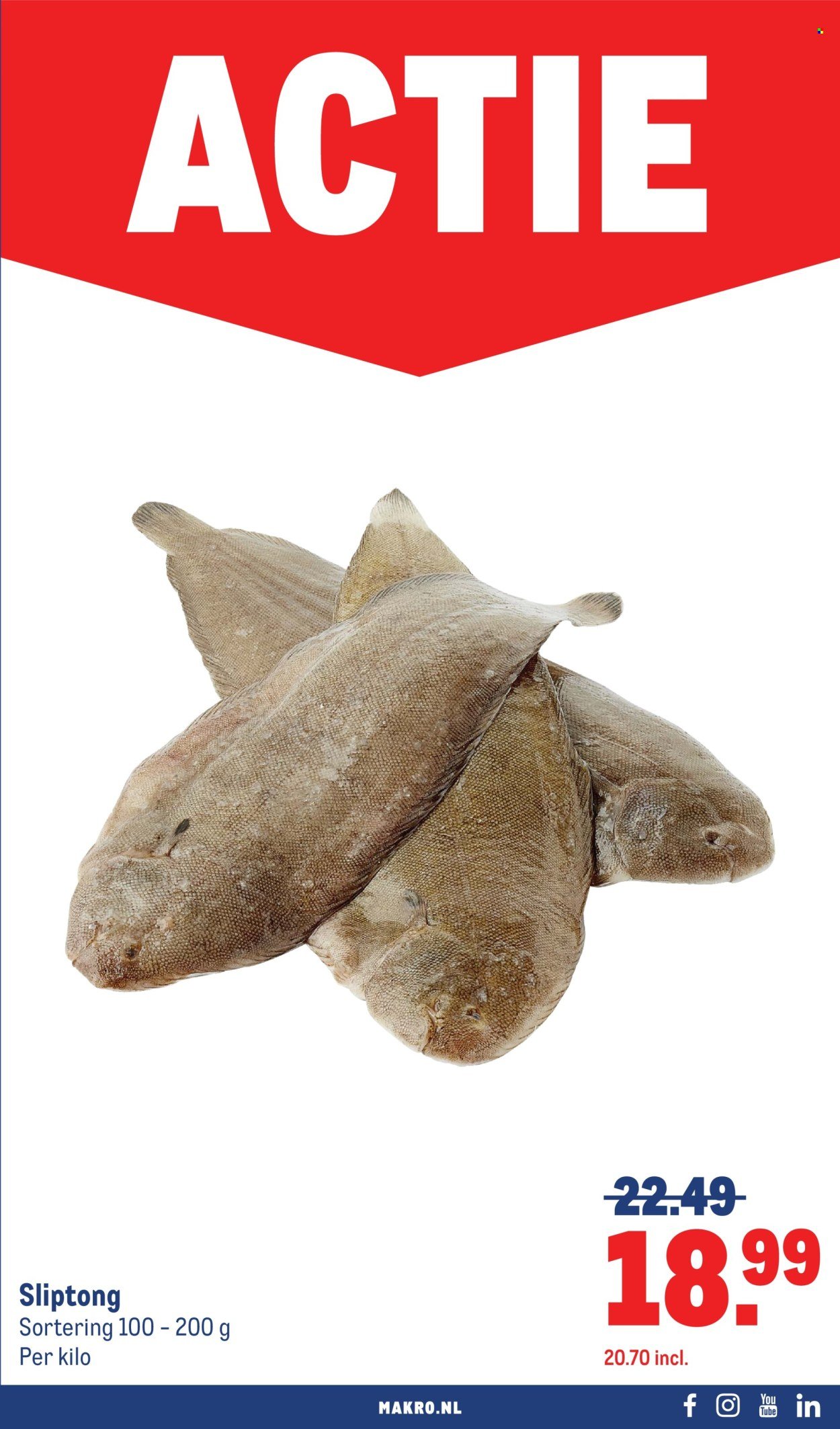 MAKRO folder - Food