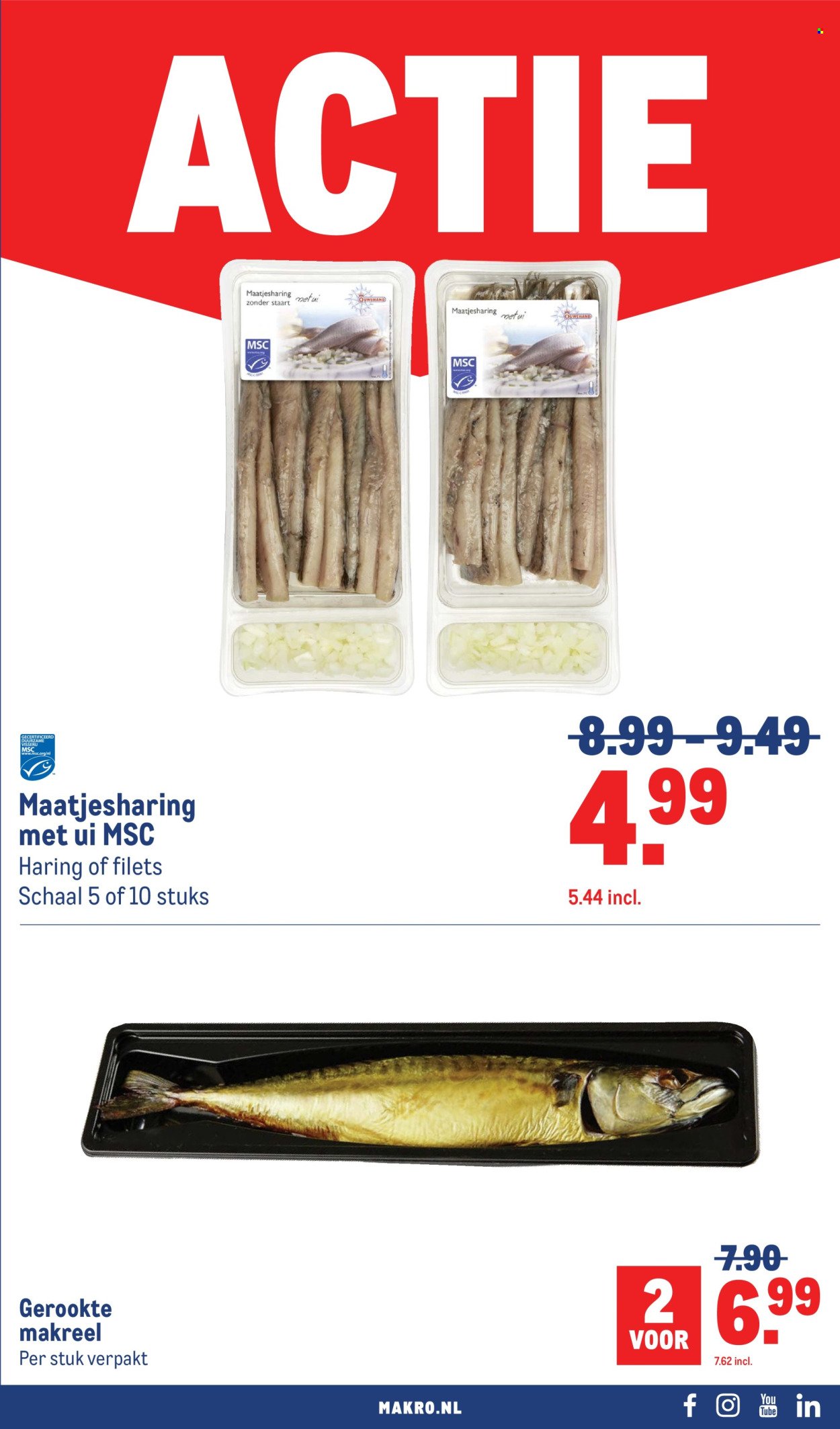 MAKRO folder - Food