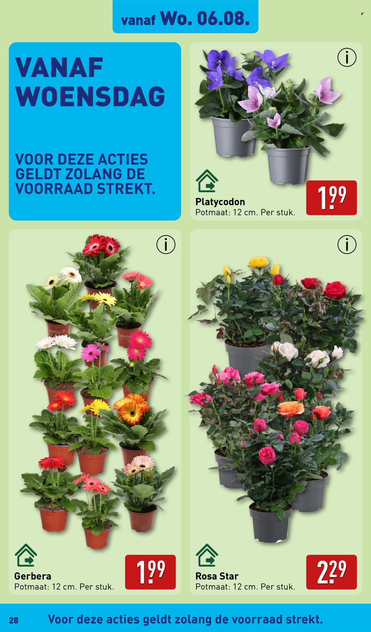 ALDI folder - Van maandag 4 augustus 2025 (2025-08-04 - 2025-08-10)