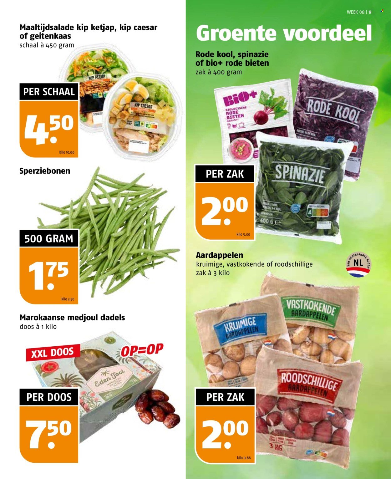 POIESZ folder - Week 8