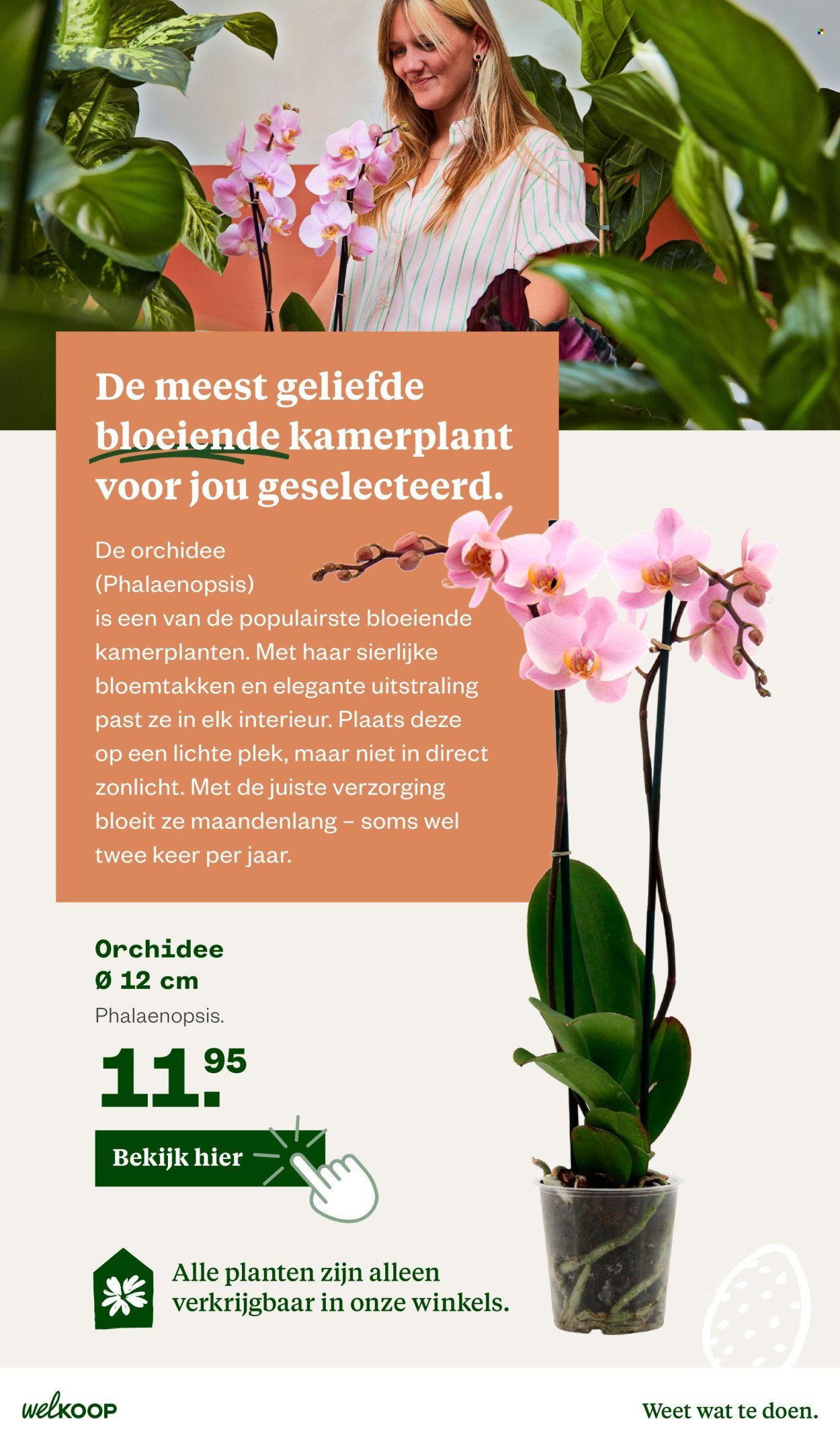 WELKOOP folder - Van maandag 30 maart 2026