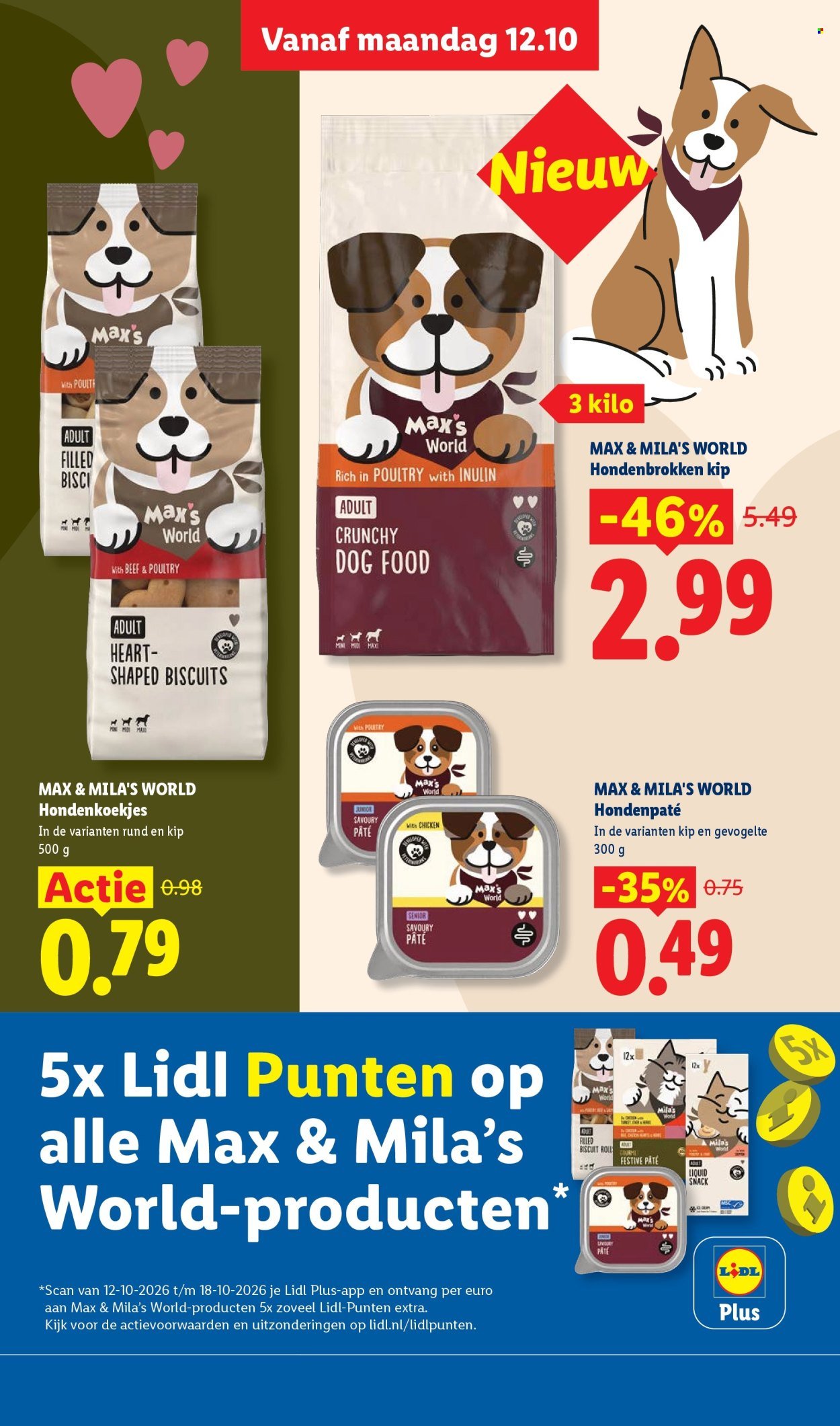 LIDL folder - Week 42