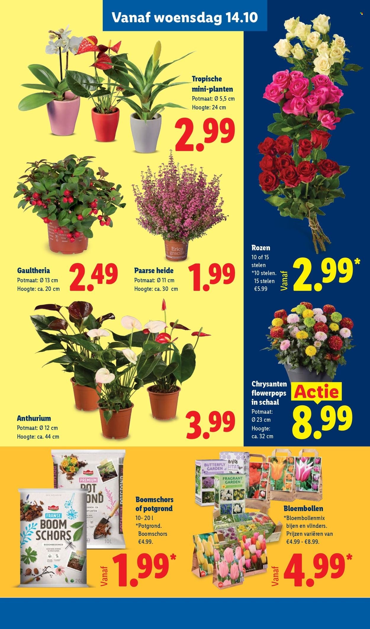 LIDL folder - Week 42
