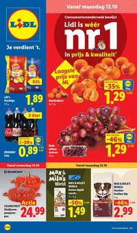 LIDL folder - Week 42