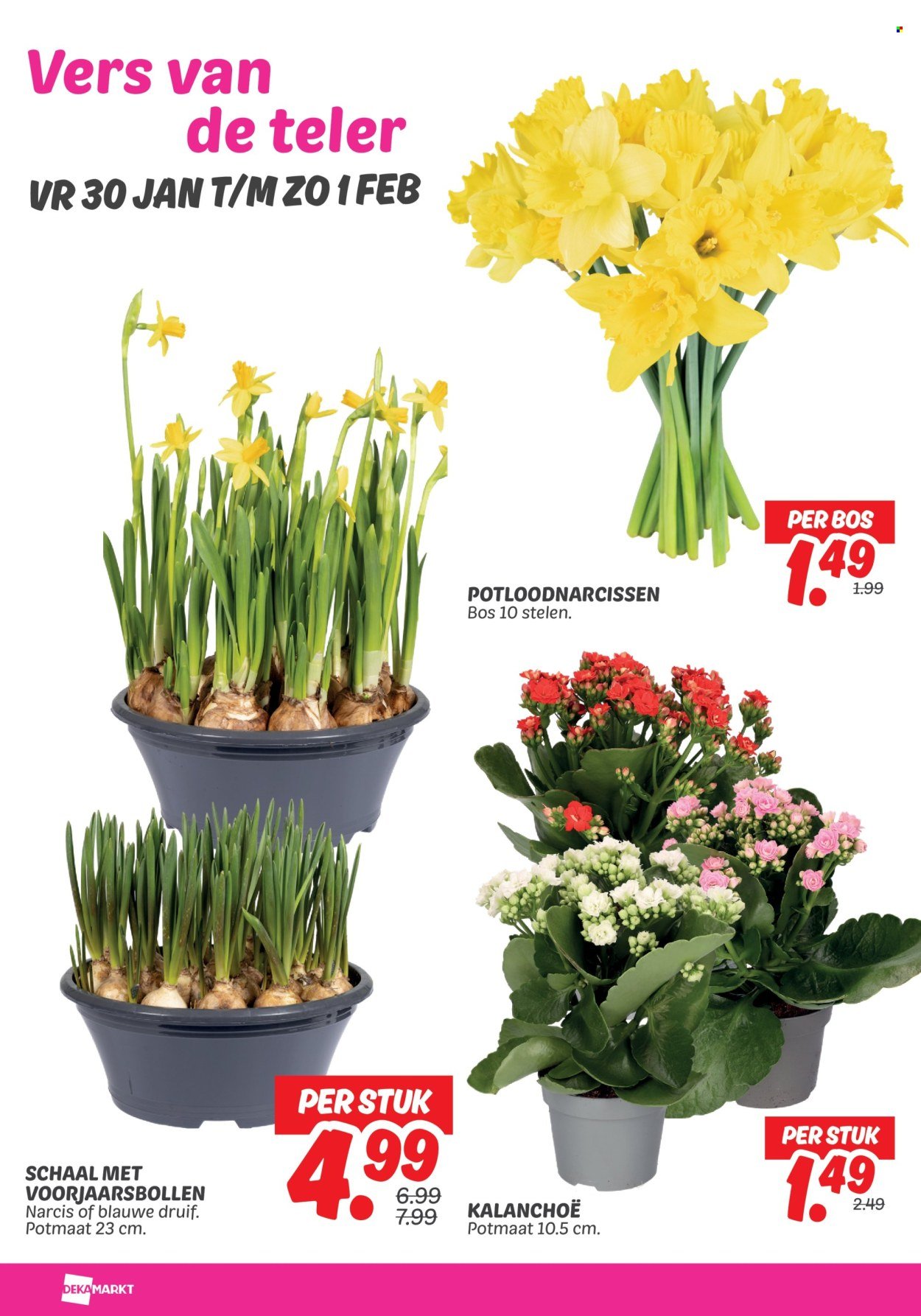 DEKAMARKT folder - Van dinsdag 27 januari 2026