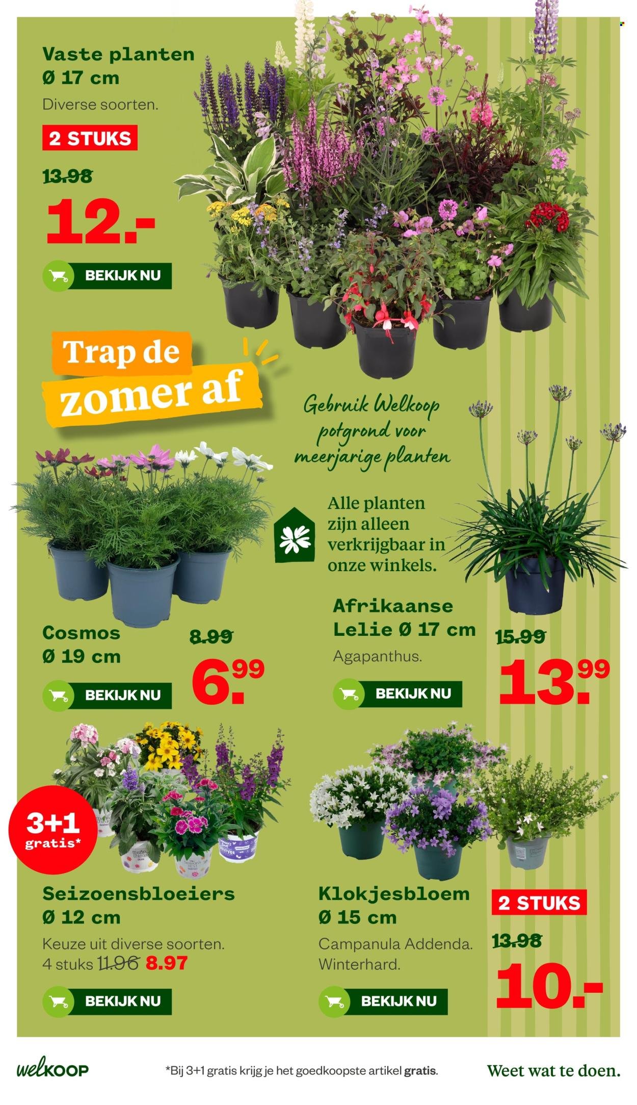 WELKOOP folder - Van maandag 8 juni 2026