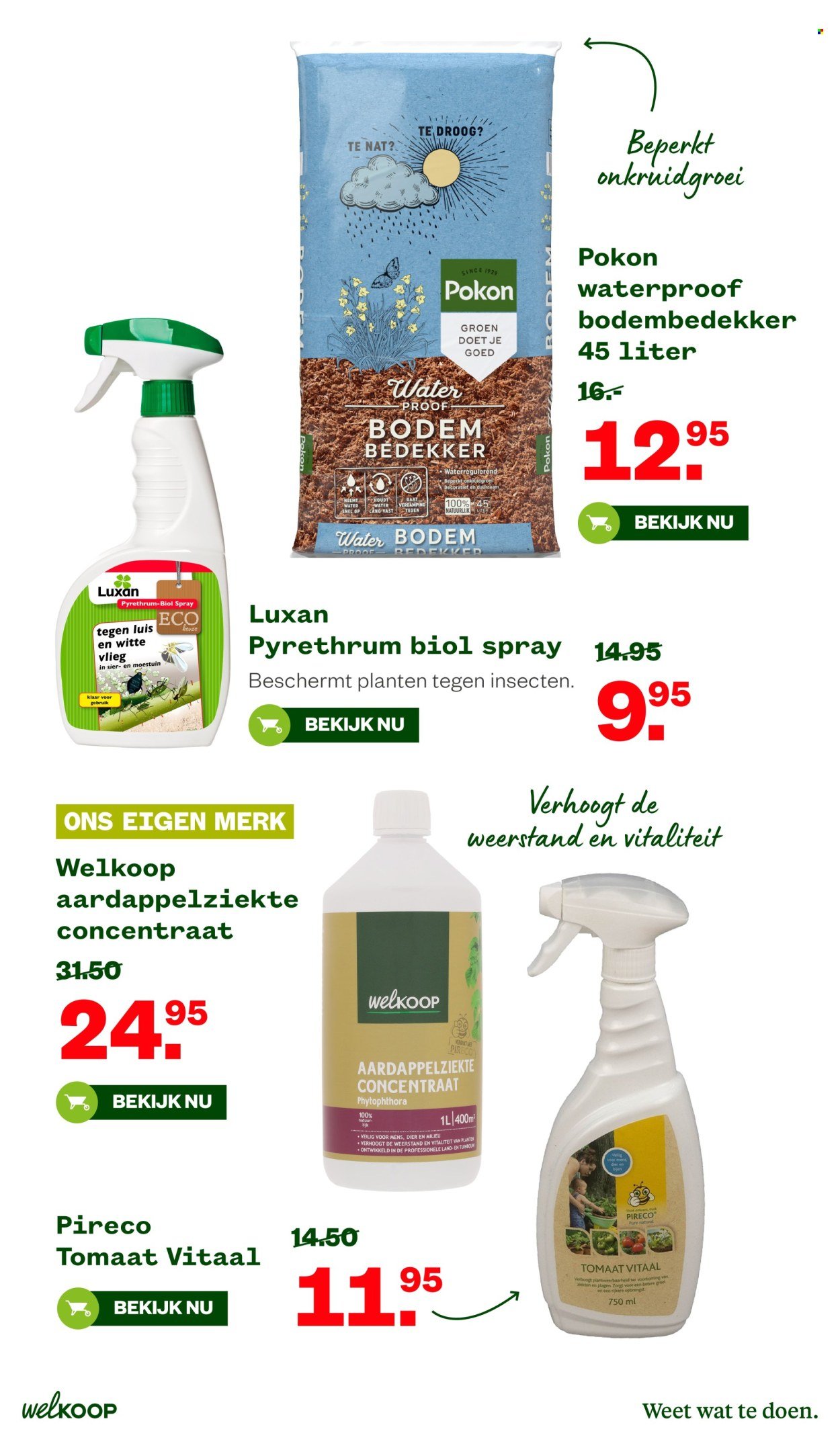 WELKOOP folder - Van maandag 8 juni 2026