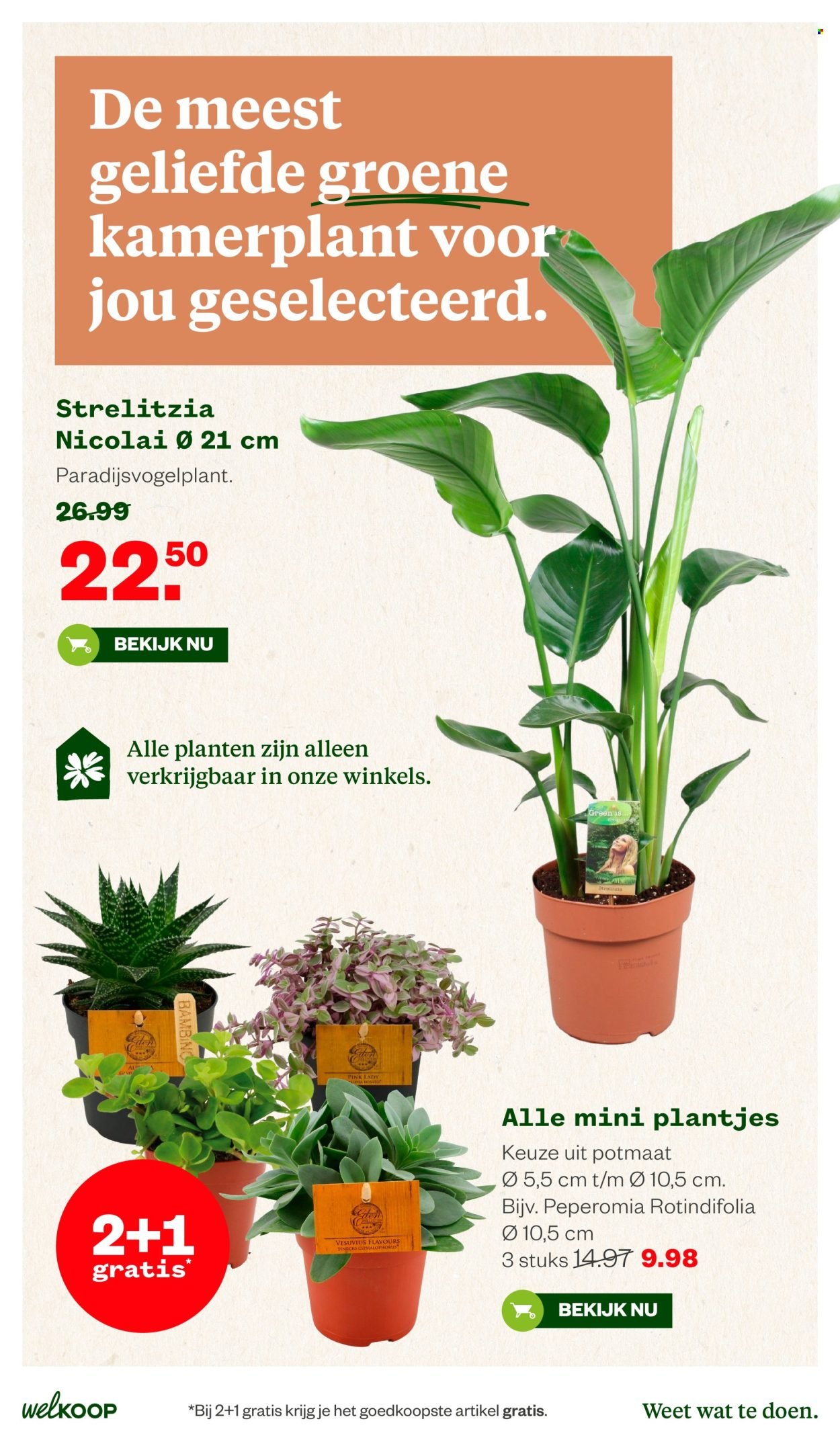 WELKOOP folder - Van maandag 8 juni 2026
