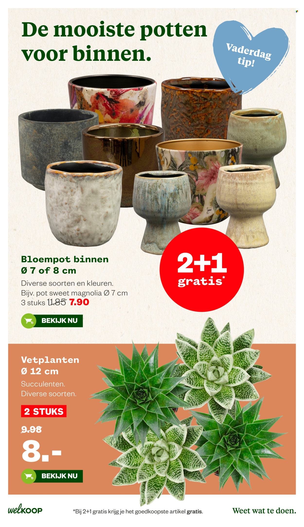 WELKOOP folder - Van maandag 8 juni 2026