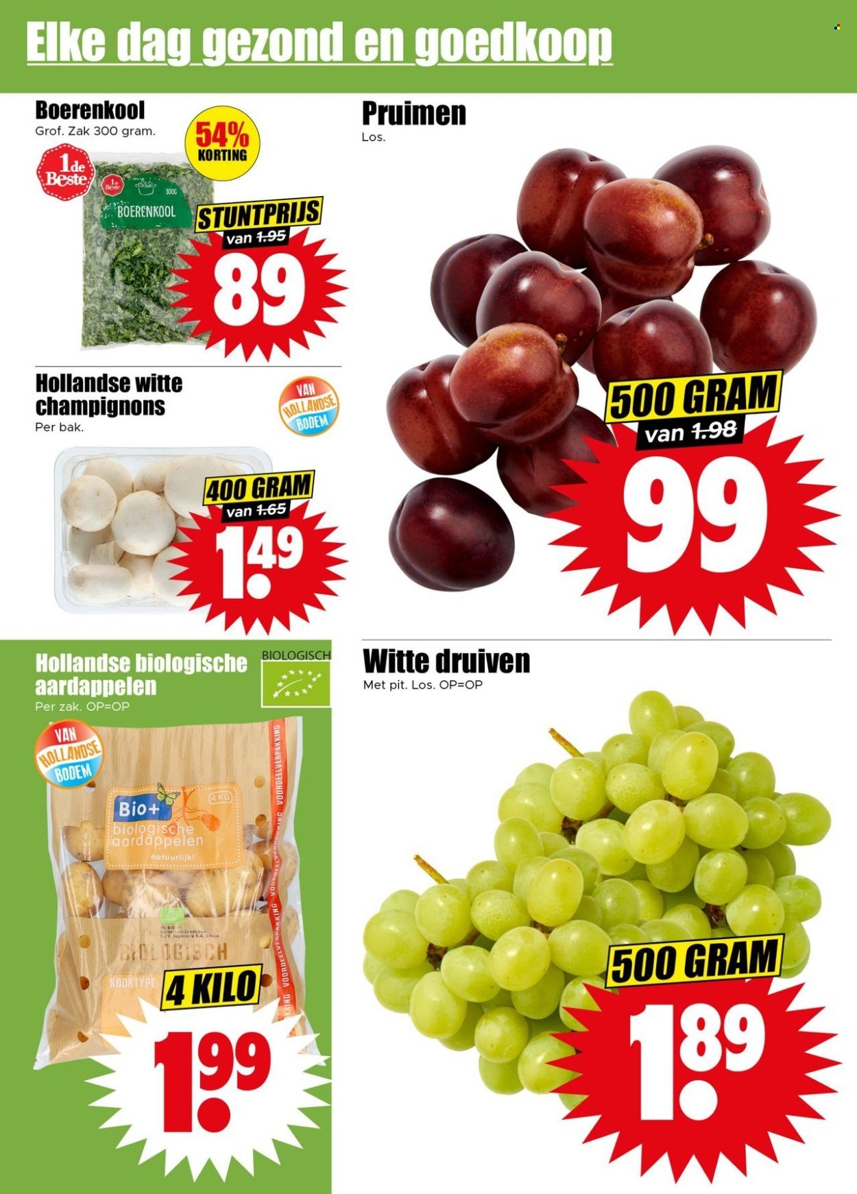 DIRK folder - Week (2025-11-05 - 2025-11-11)