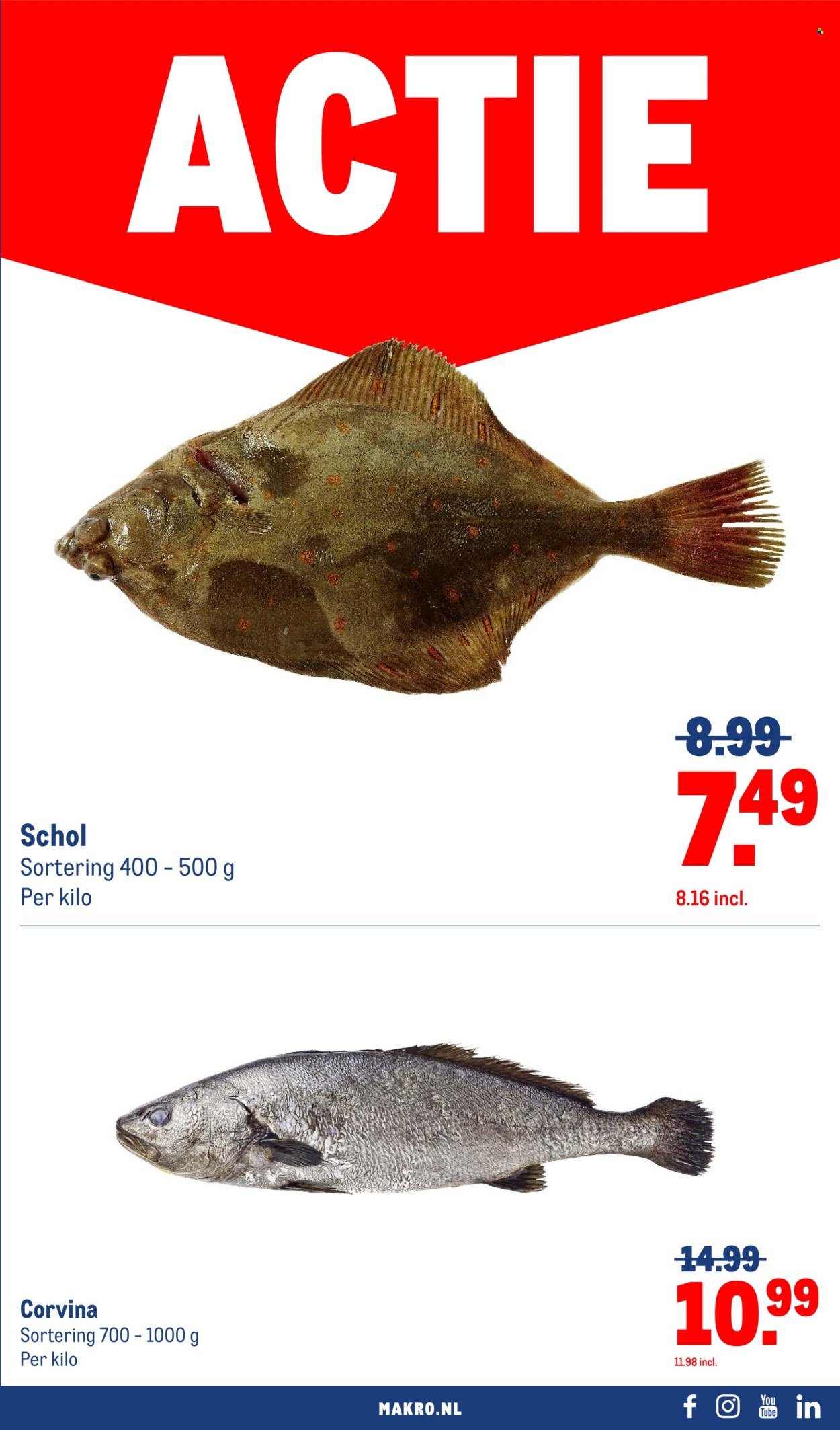 MAKRO folder - Food (2025-08-13 - 2025-08-26)