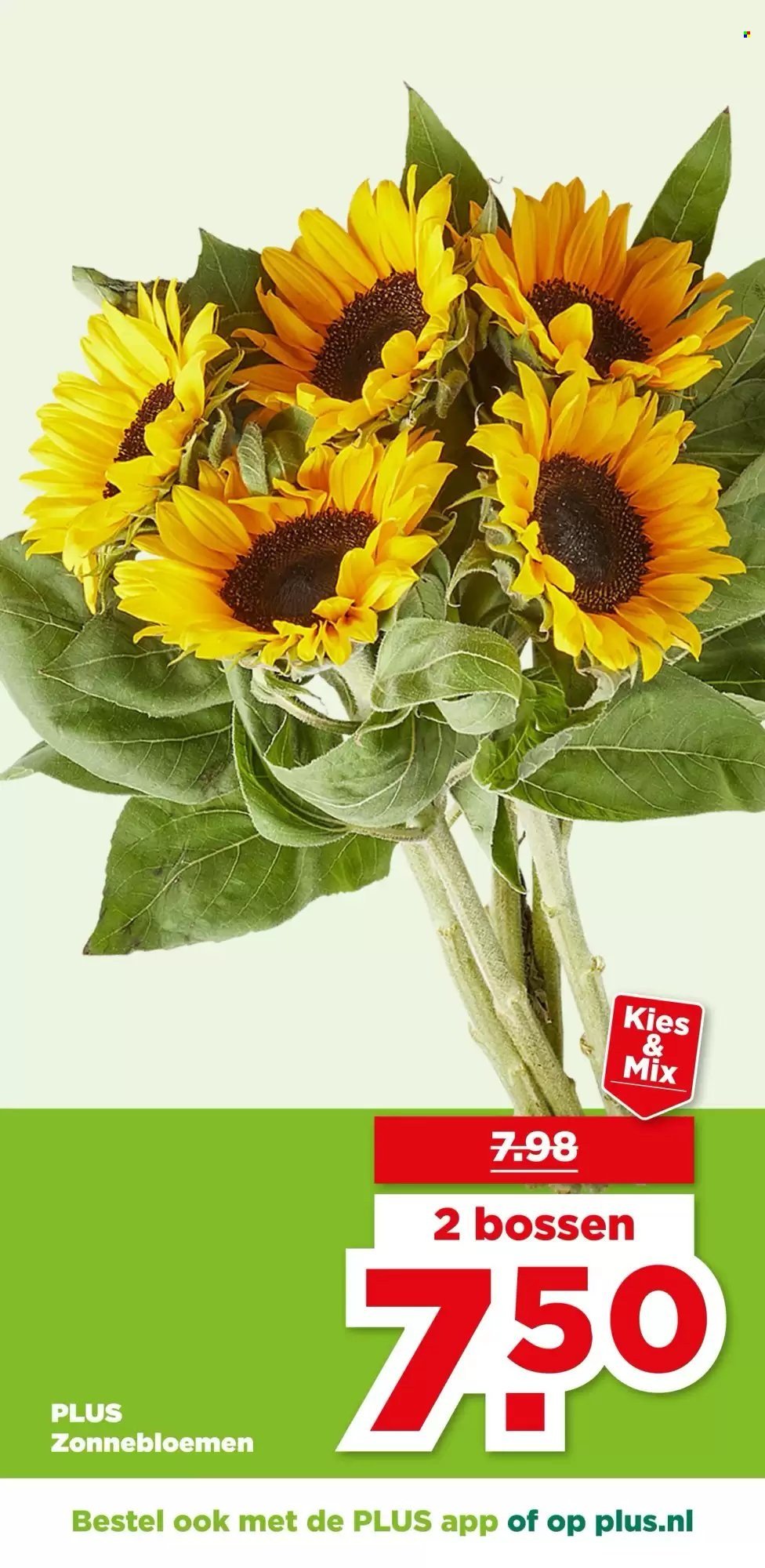 PLUS folder - Van woensdag 8 juli 2026