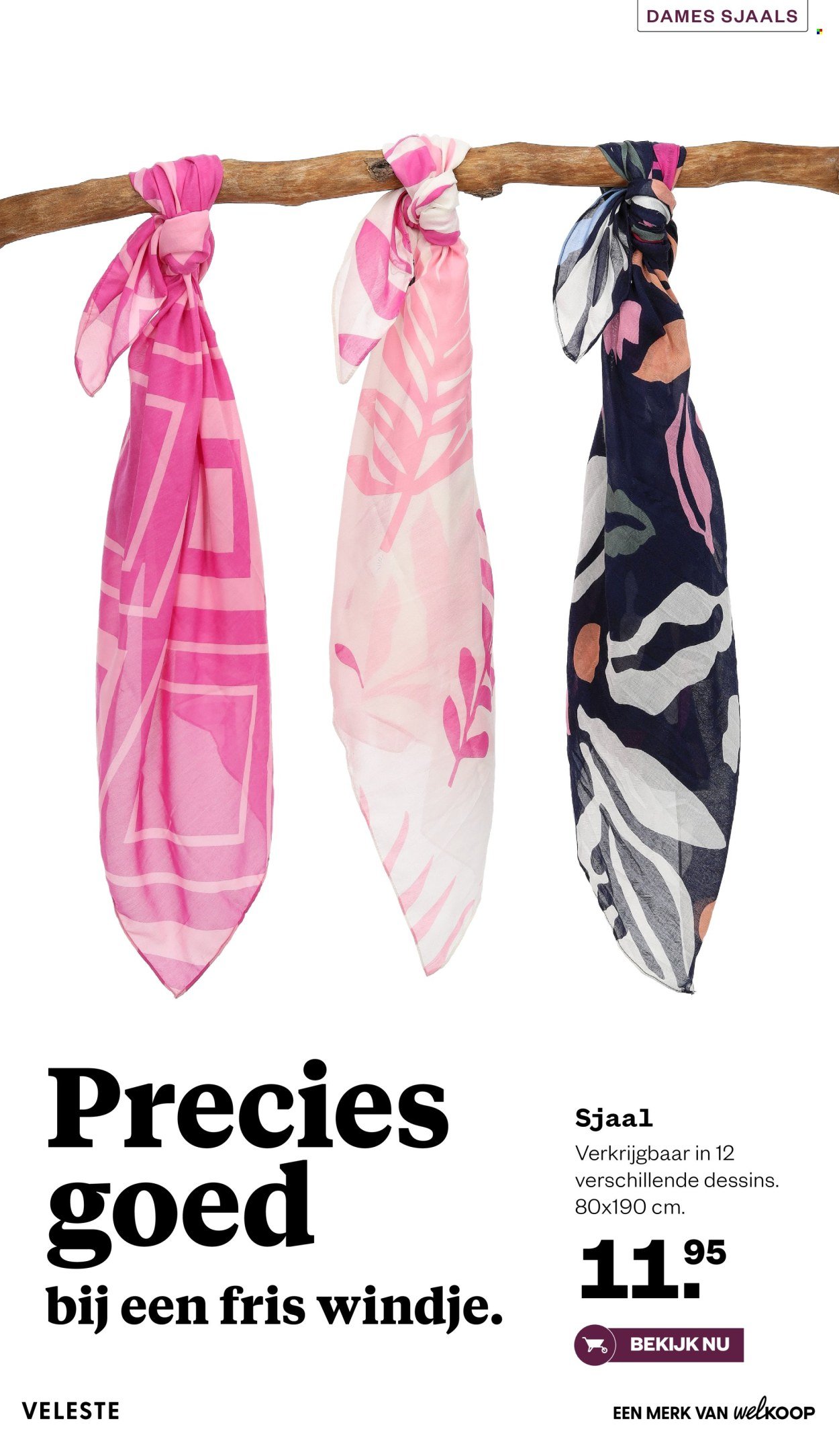 WELKOOP folder - Februari 2026