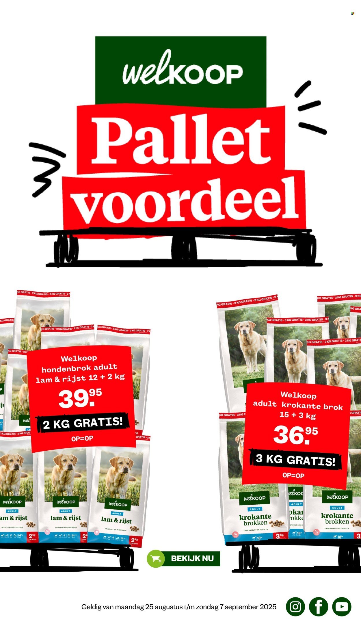 WELKOOP folder - Van maandag 25 augustus 2025 (2025-08-25 - 2025-09-07)