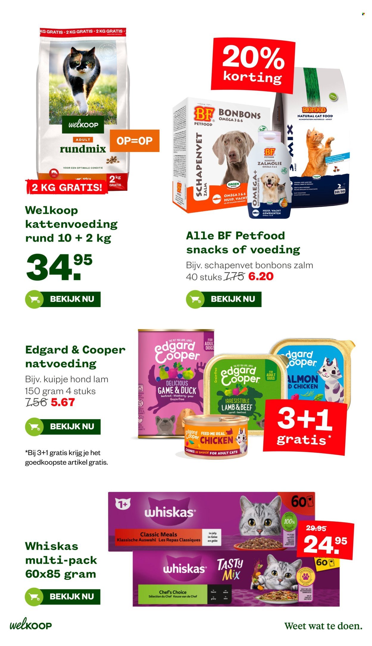WELKOOP folder - Van maandag 25 augustus 2025 (2025-08-25 - 2025-09-07)