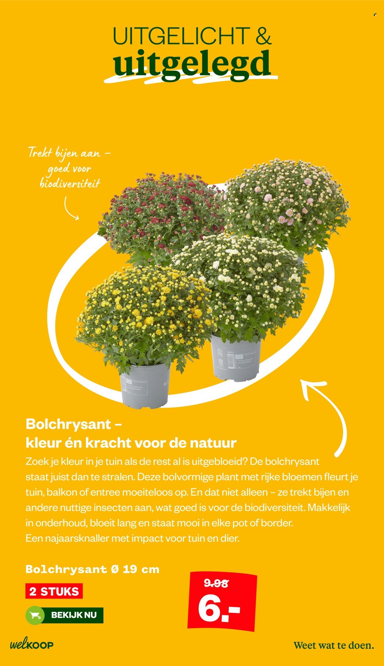 WELKOOP folder - Van maandag 25 augustus 2025 (2025-08-25 - 2025-09-07)