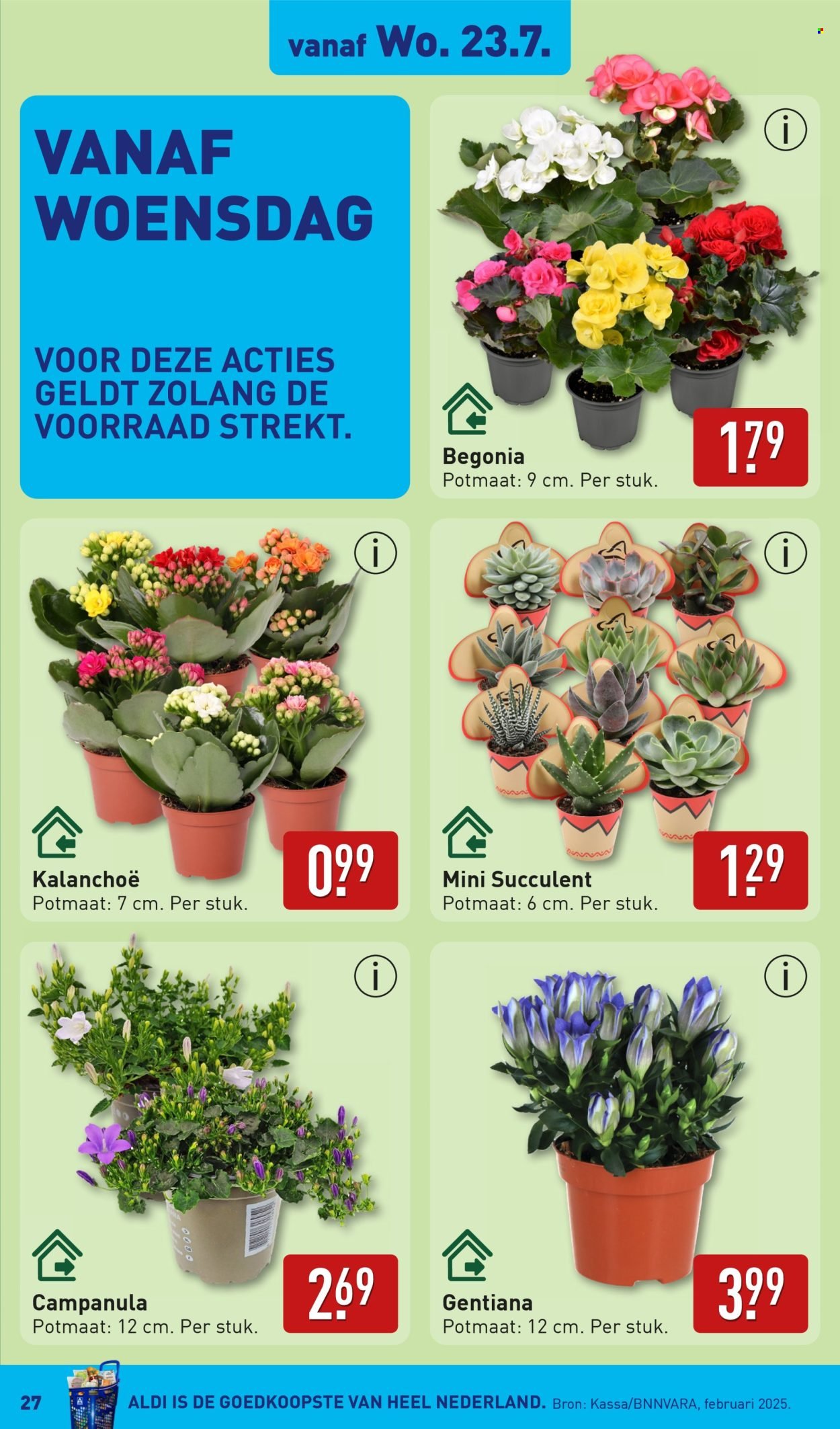 ALDI folder - Van maandag 21 juli 2025 (2025-07-21 - 2025-07-27)