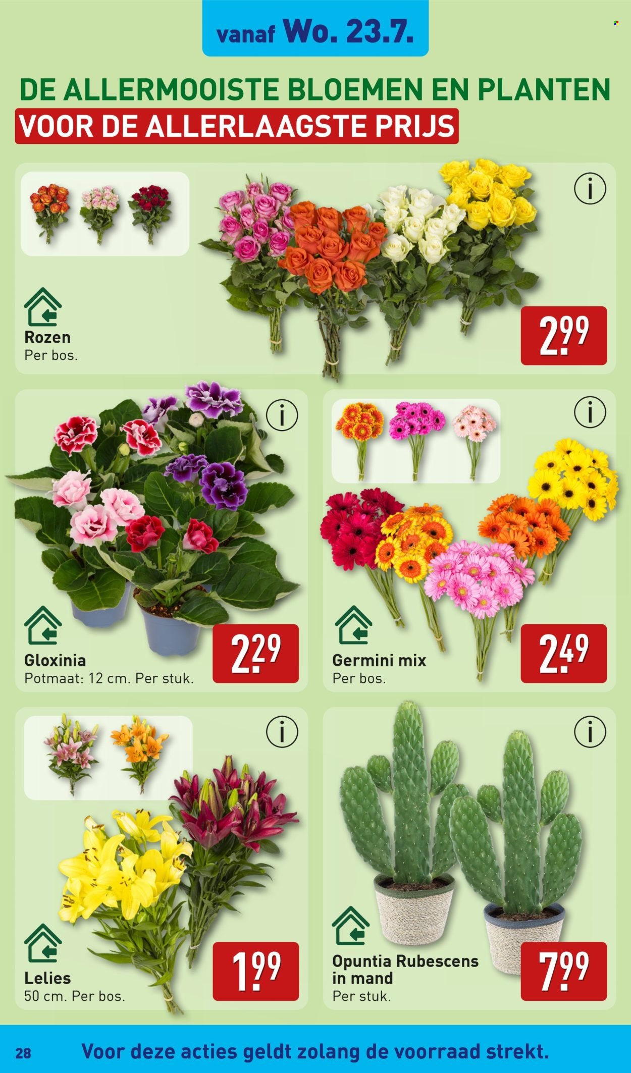 ALDI folder - Van maandag 21 juli 2025 (2025-07-21 - 2025-07-27)