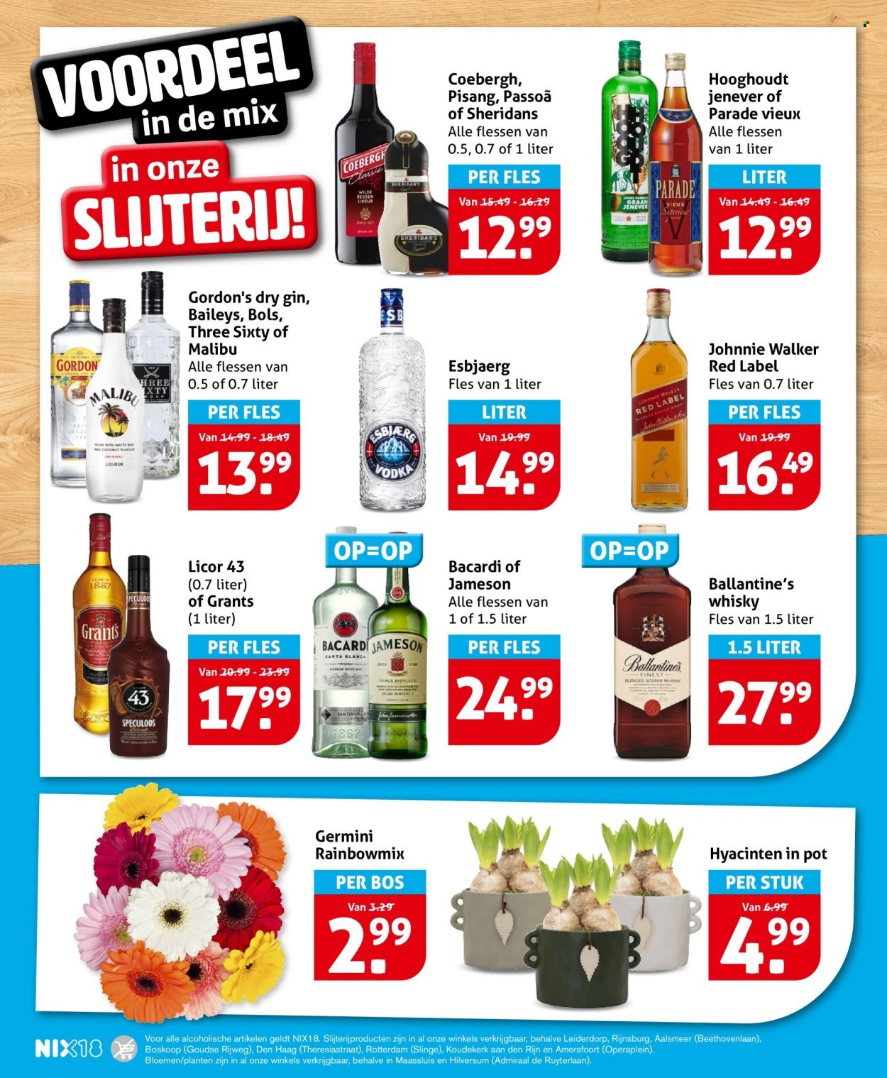 HOOGVLIET folder - Van woensdag 12 november 2025 (2025-11-12 - 2025-11-18)