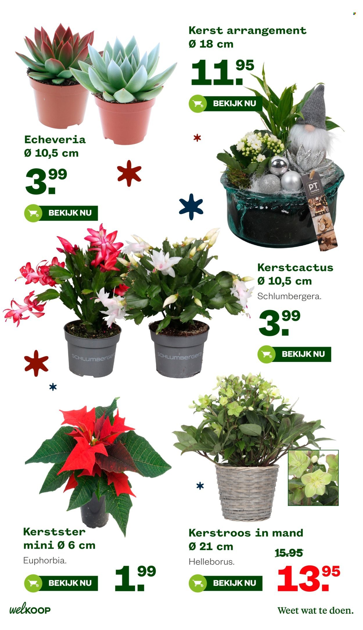 WELKOOP folder - Van maandag 10 november 2025 (2025-11-10 - 2025-11-23)