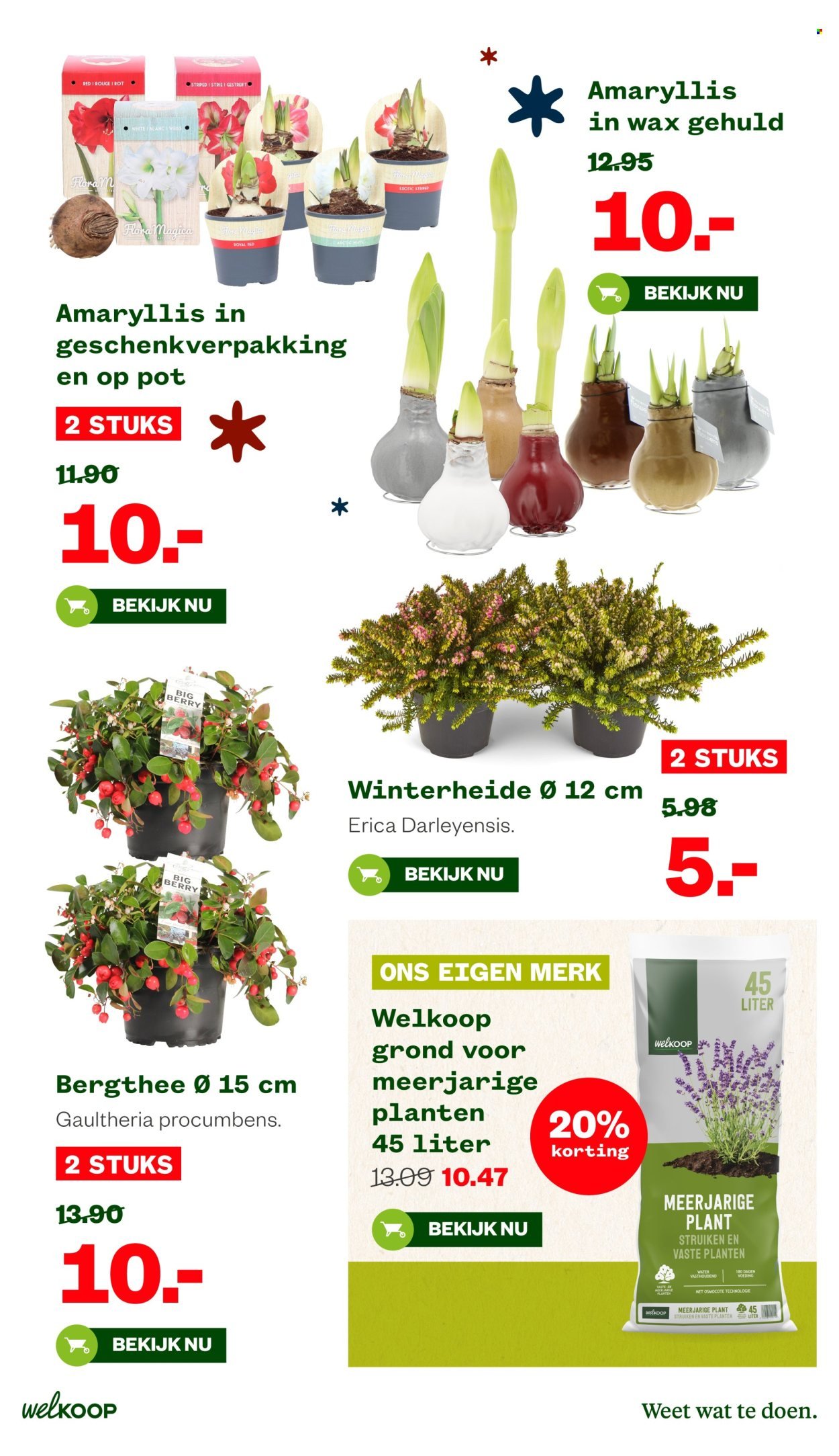 WELKOOP folder - Van maandag 10 november 2025 (2025-11-10 - 2025-11-23)