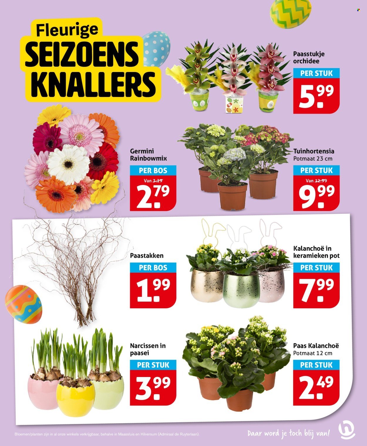 HOOGVLIET folder - Van woensdag 25 maart 2026