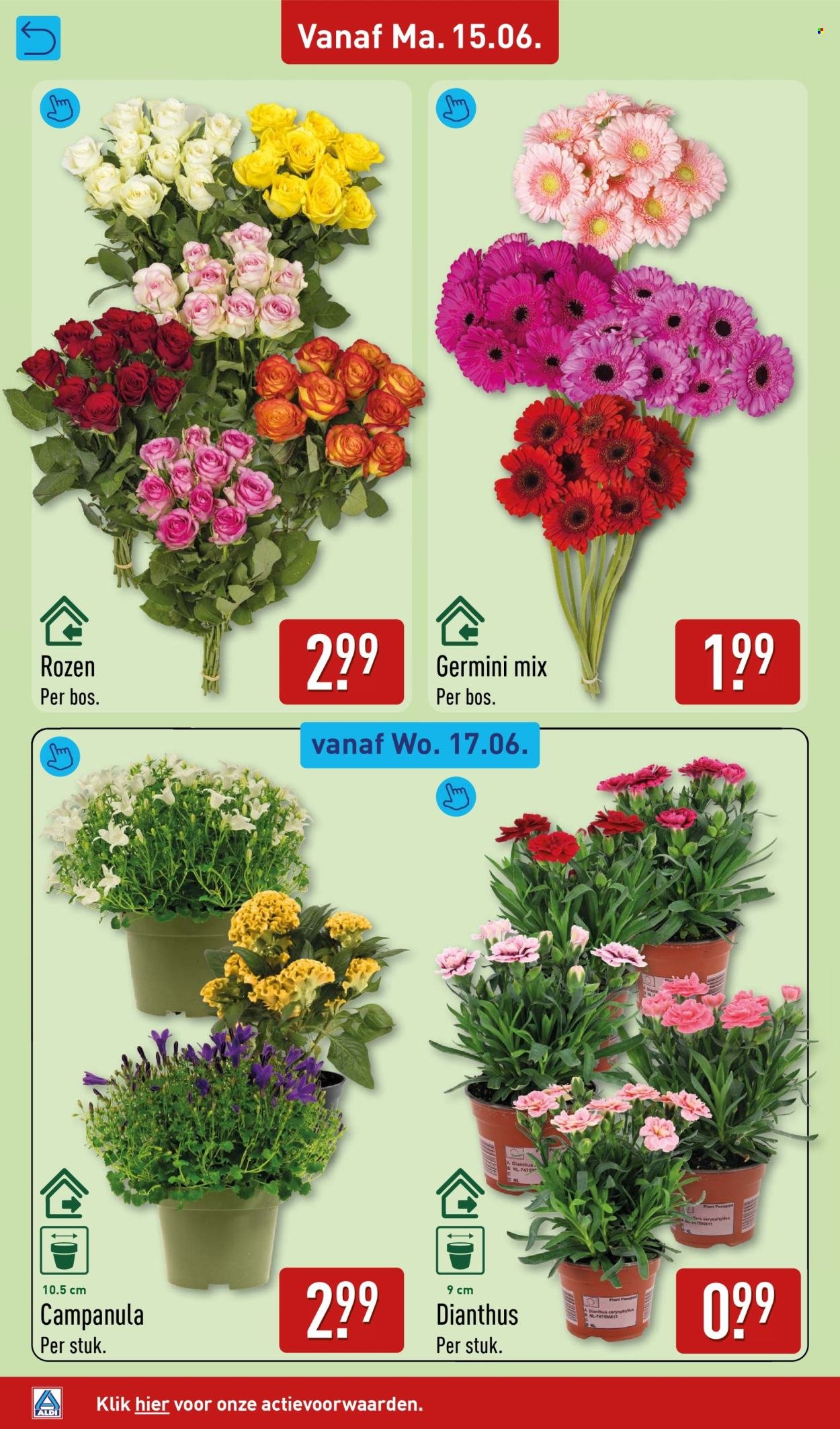 ALDI folder - Van maandag 15 juni 2026