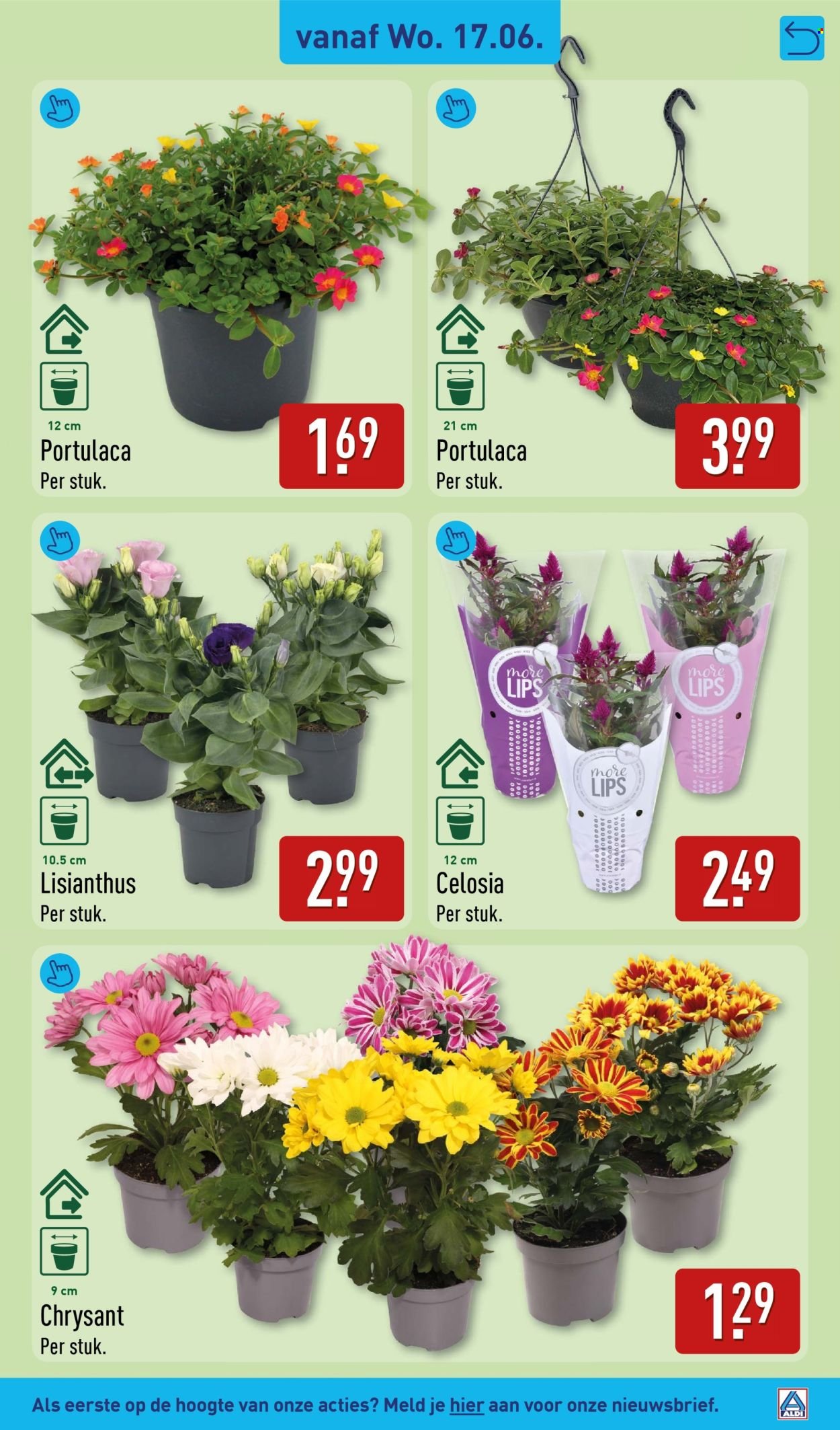 ALDI folder - Van maandag 15 juni 2026
