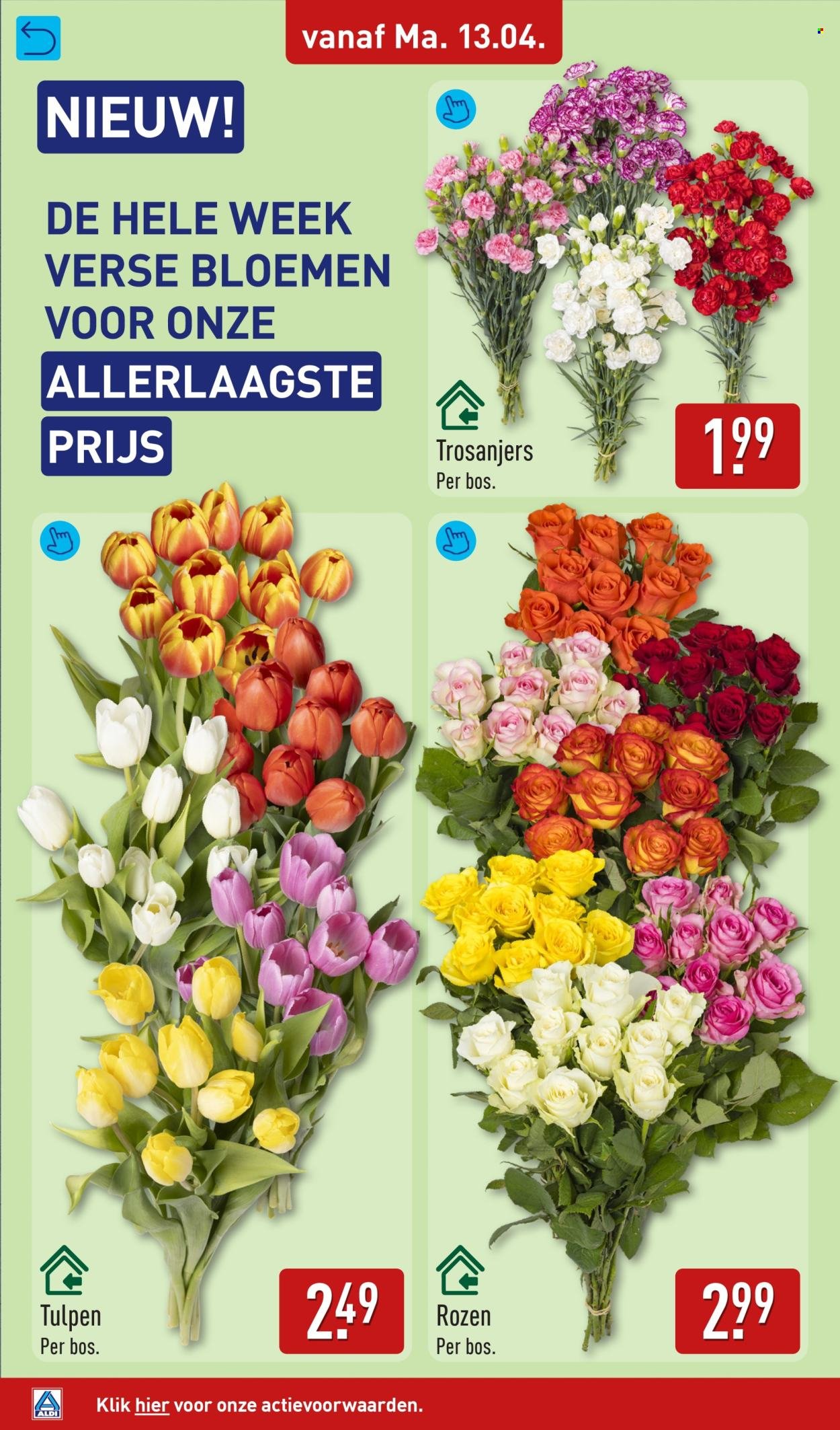 ALDI folder - Van maandag 13 april 2026 (2026-04-13 - 2026-04-19)