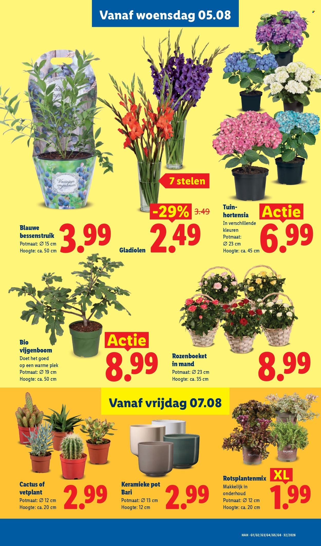 LIDL folder - Week 32