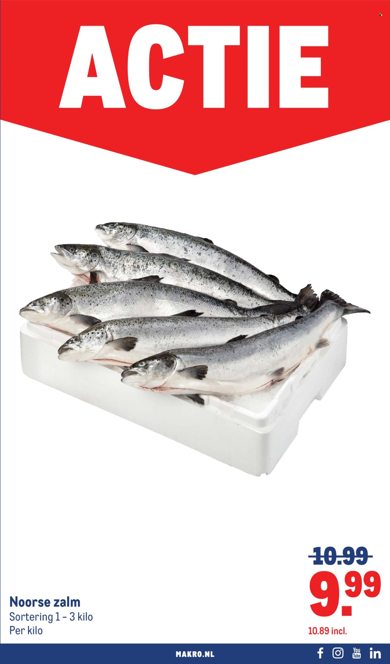 MAKRO folder - BBQ