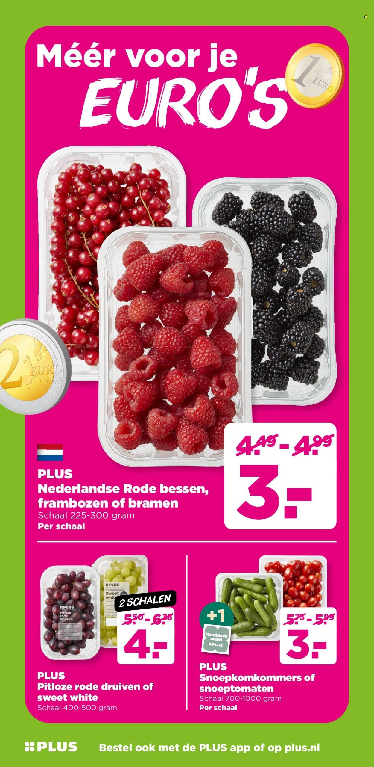 PLUS folder - Van woensdag 20 augustus 2025 (2025-08-20 - 2025-08-26)