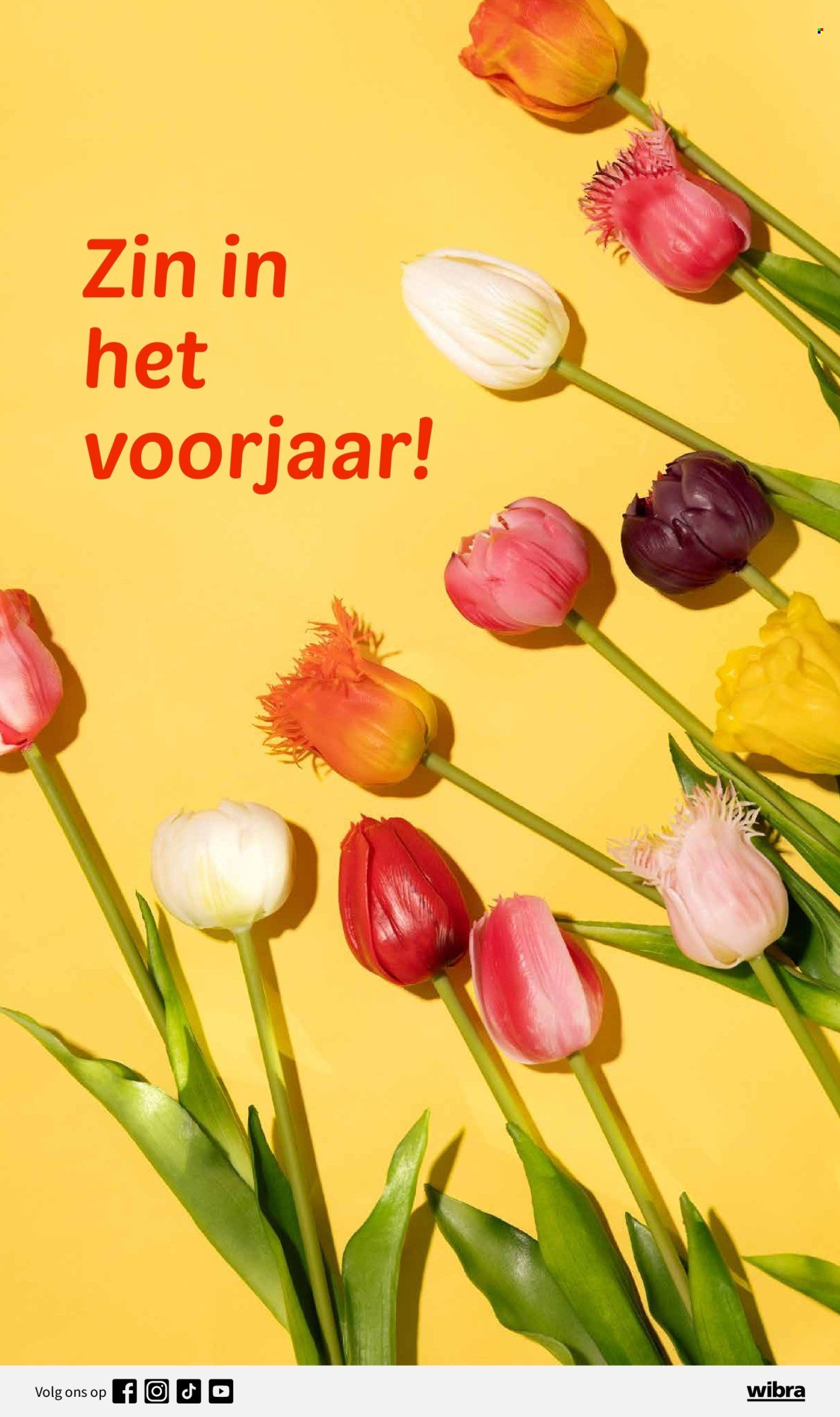 WIBRA folder - Slim besparen