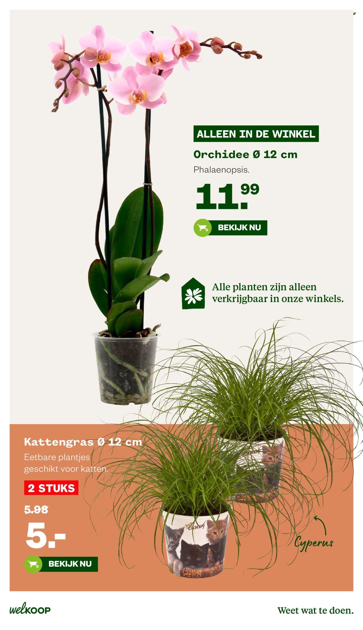 WELKOOP folder - Van maandag 21 september 2026