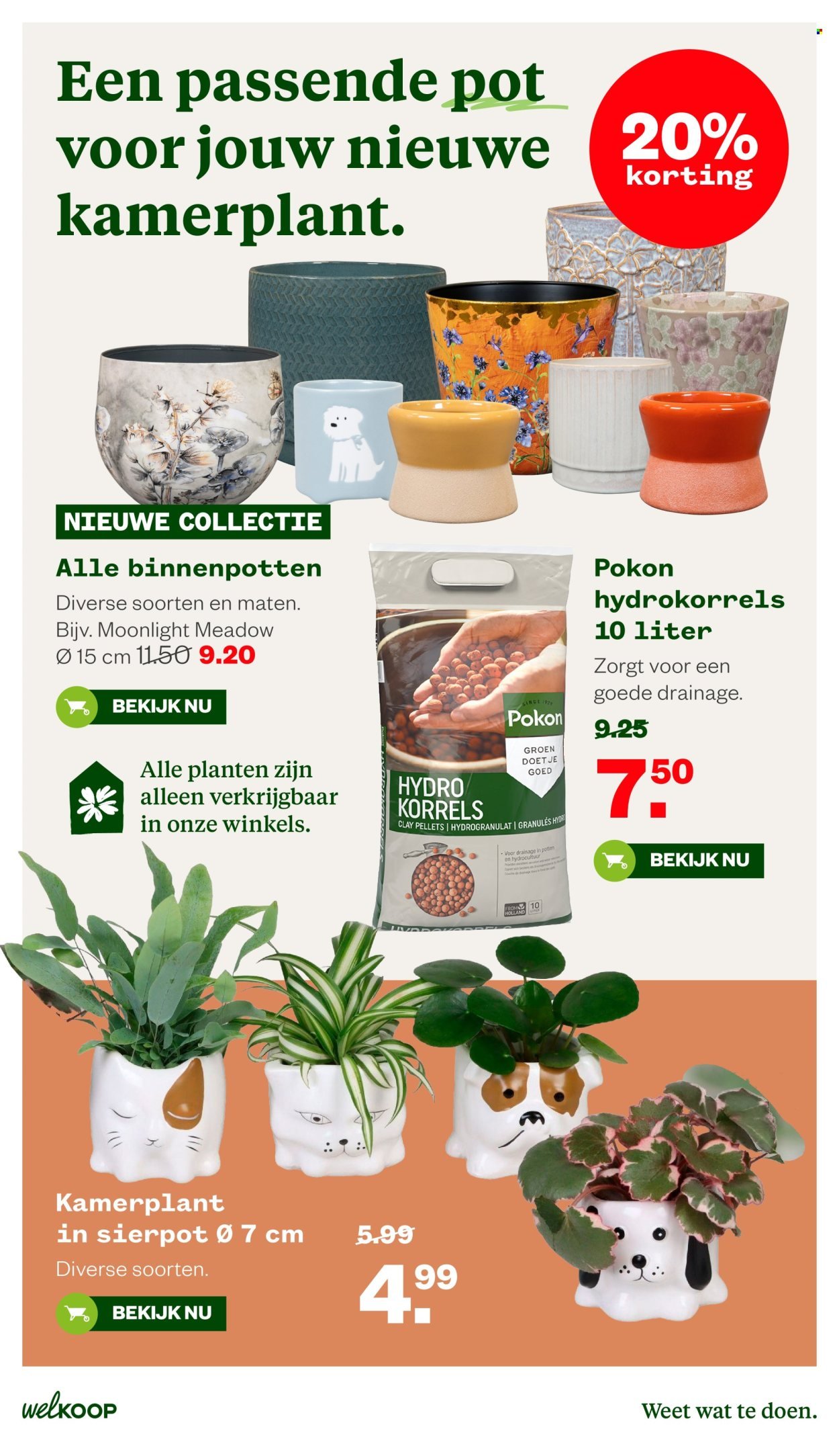 WELKOOP folder - Van maandag 21 september 2026