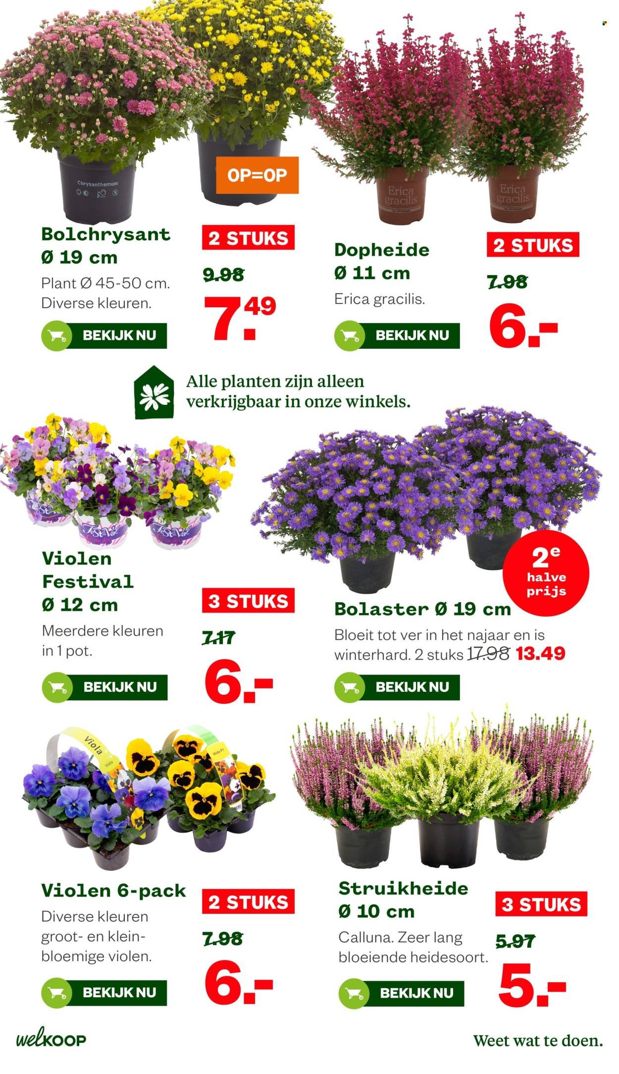 WELKOOP folder - Van maandag 21 september 2026