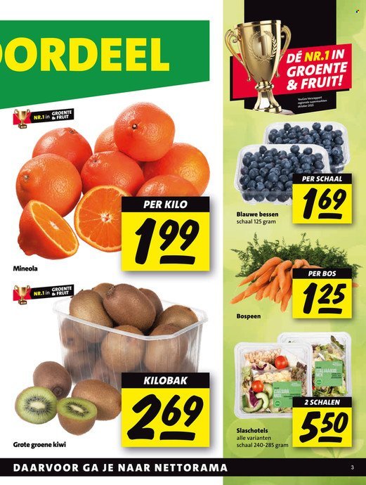 NETTORAMA folder - Van maandag 16 februari 2026