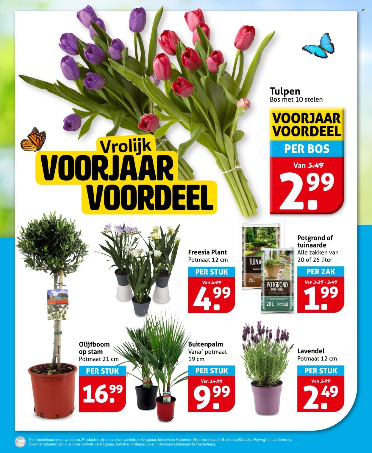 HOOGVLIET folder - Van woensdag 8 april 2026