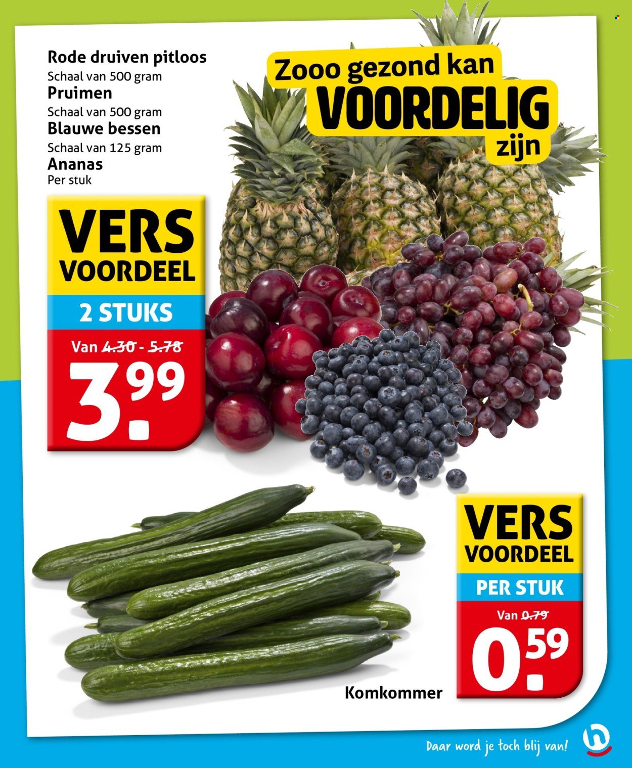 HOOGVLIET folder - Van woensdag 8 april 2026