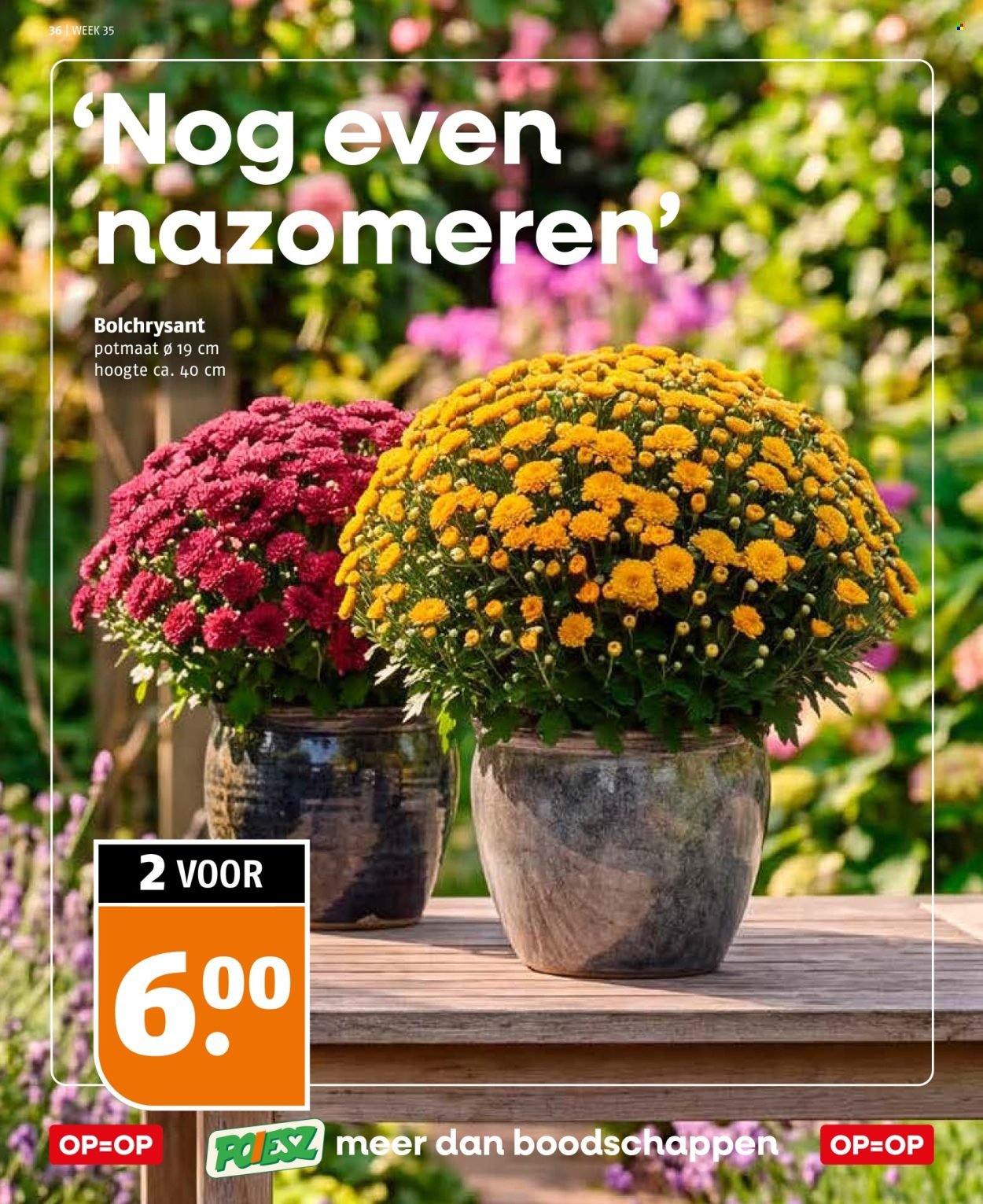 POIESZ folder - Van zondag 23 augustus 2026