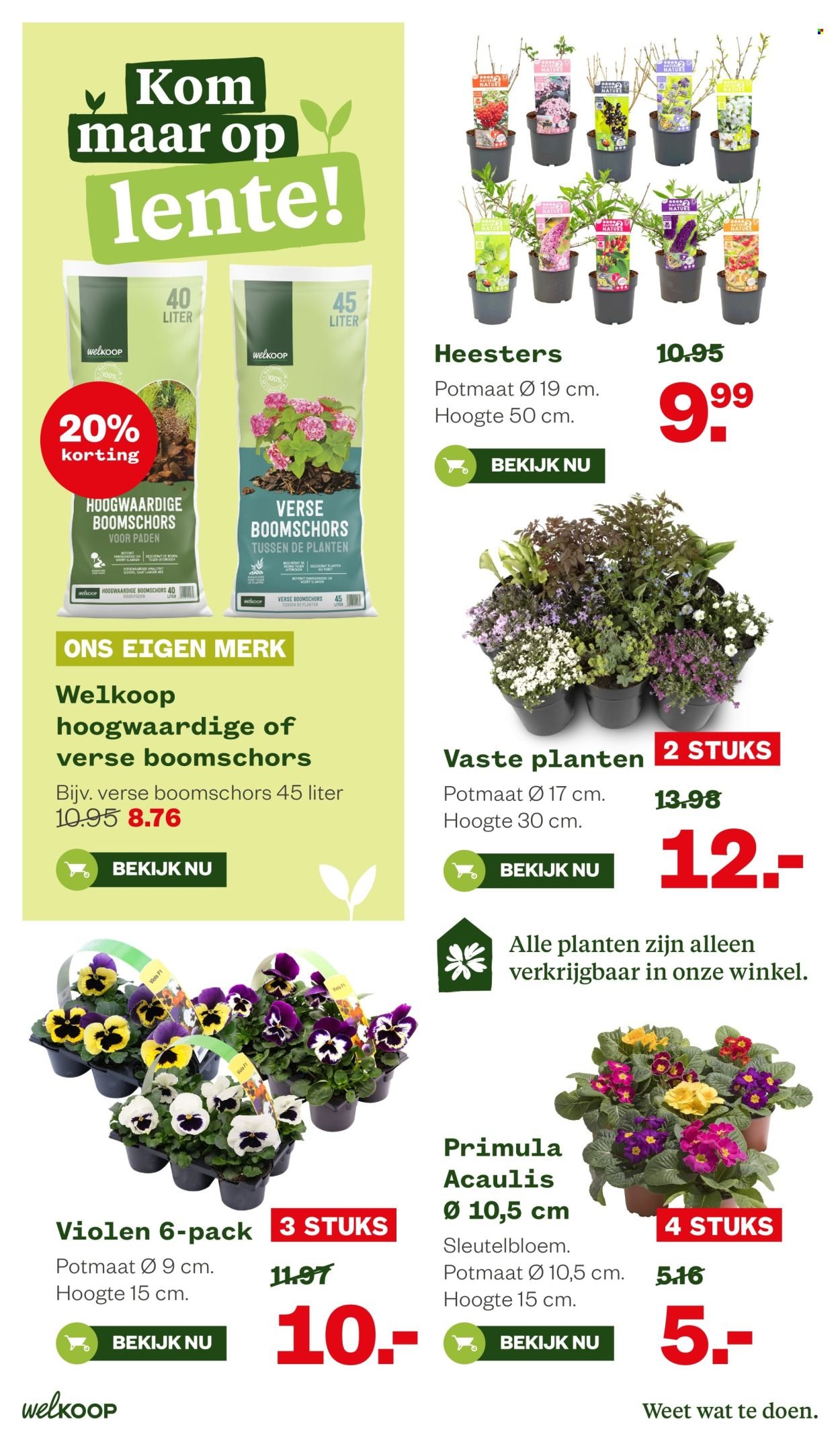 WELKOOP folder - Van maandag 16 februari 2026