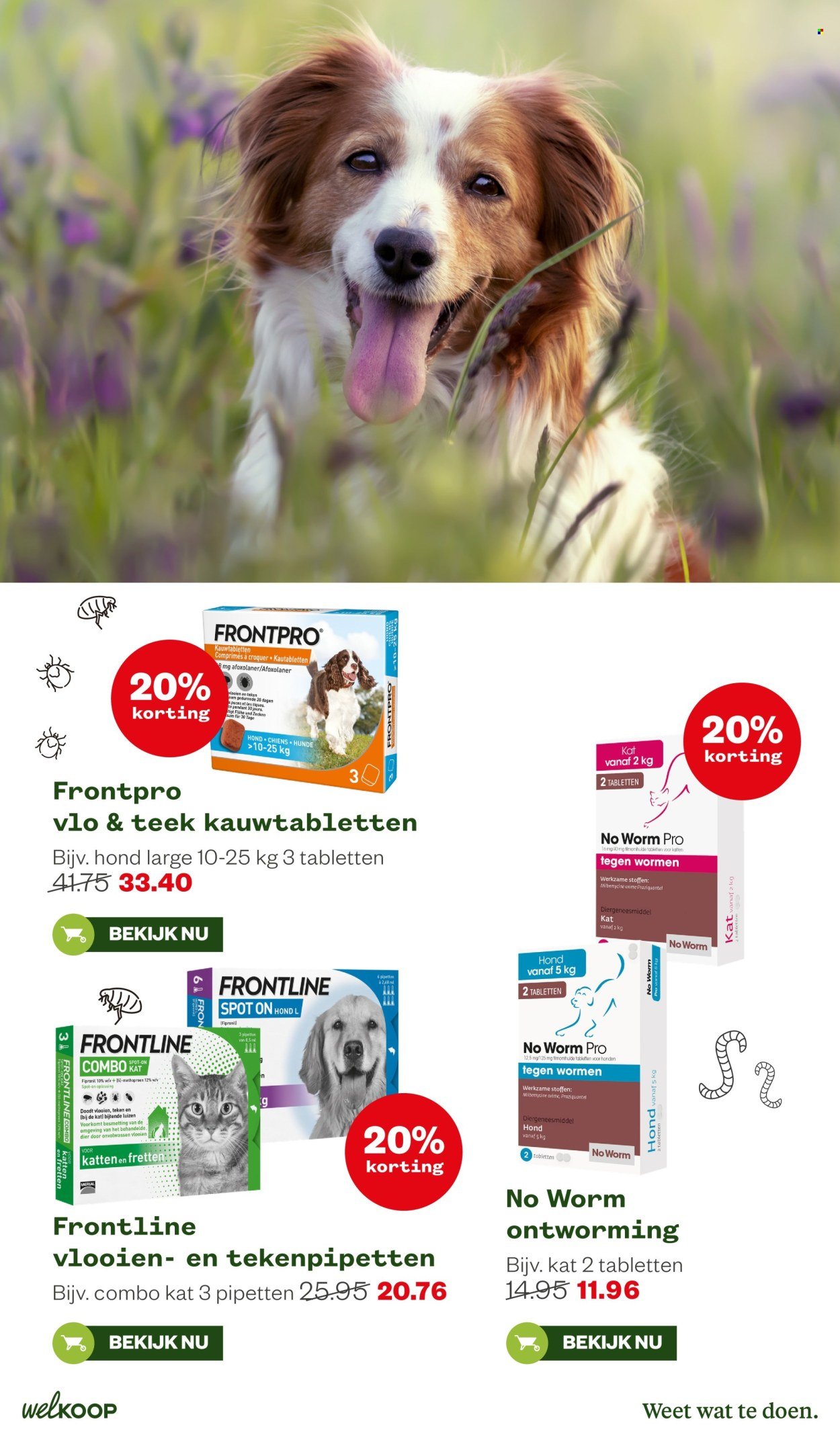 WELKOOP folder - Van maandag 16 februari 2026