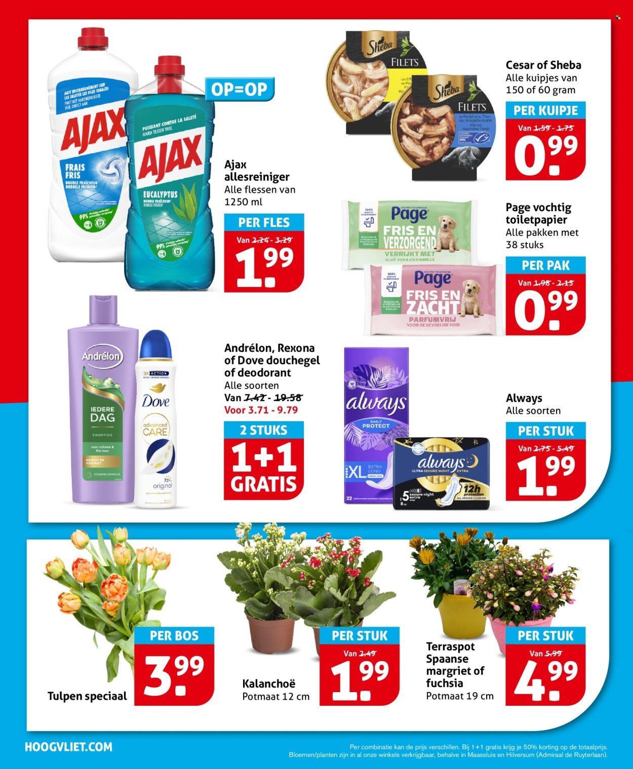 HOOGVLIET folder - Van woensdag 22 april 2026