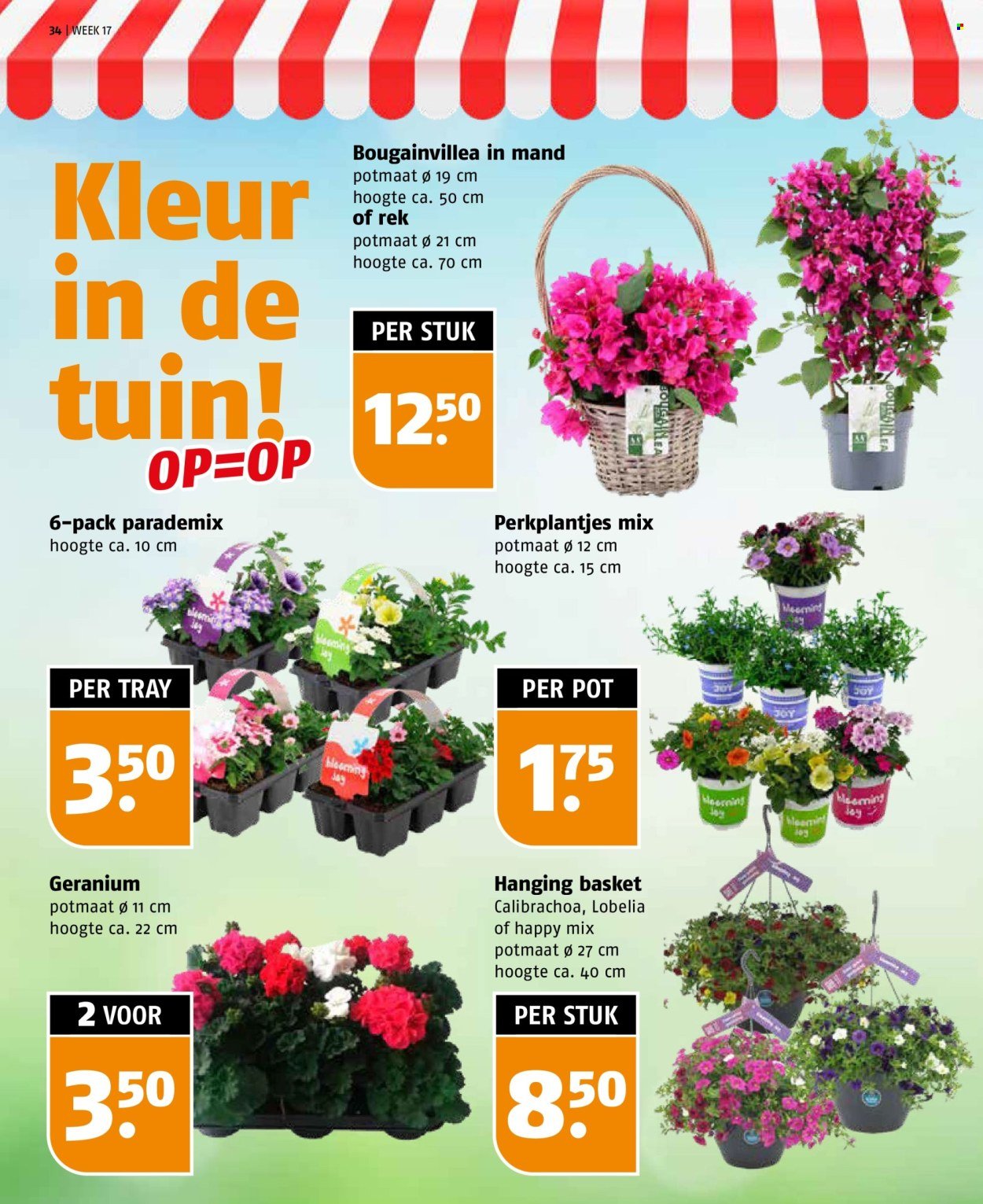 POIESZ folder - Week 17