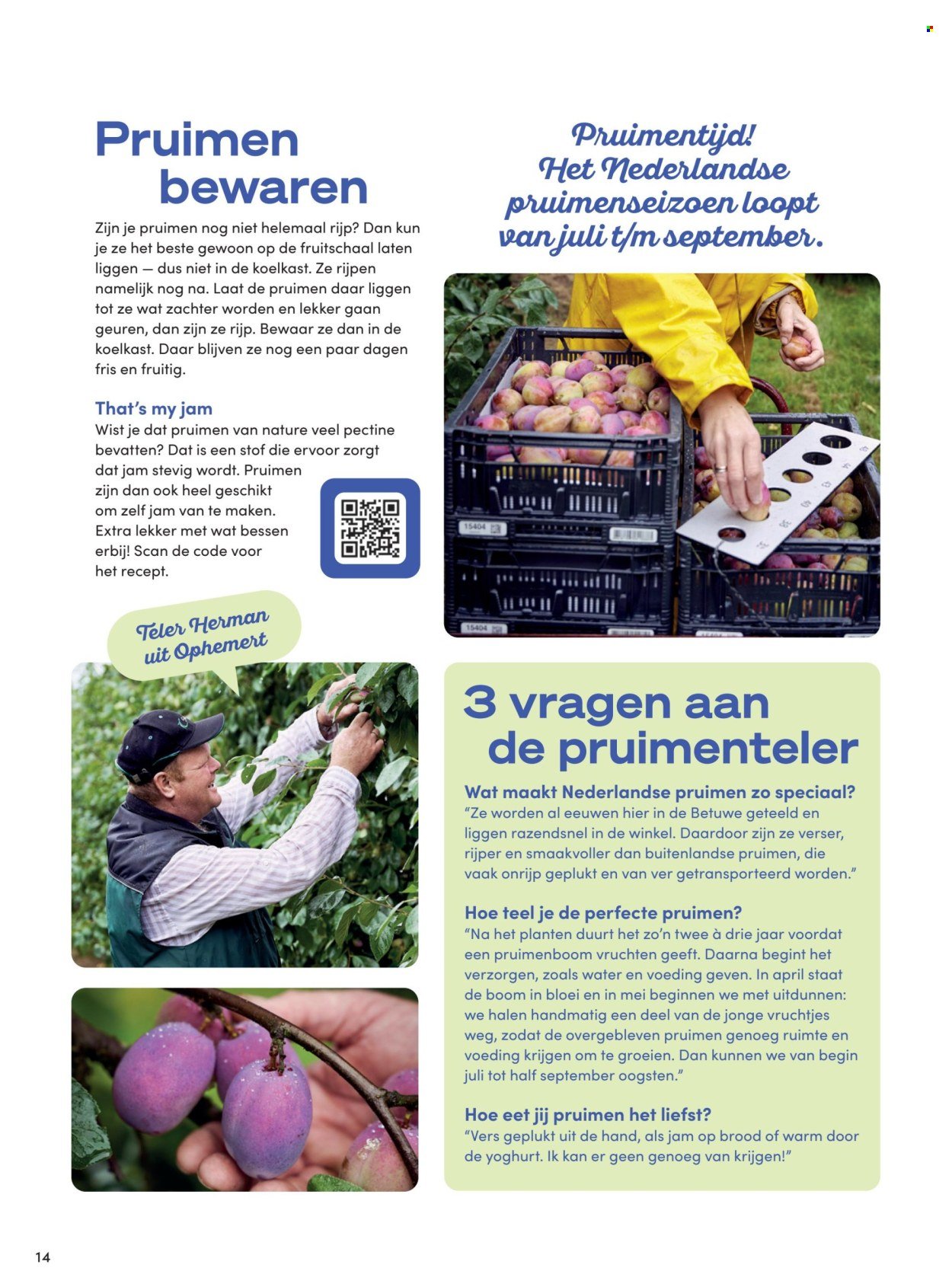 BONI folder - Van vrijdag 1 augustus 2025 (2025-08-01 - 2025-08-31)