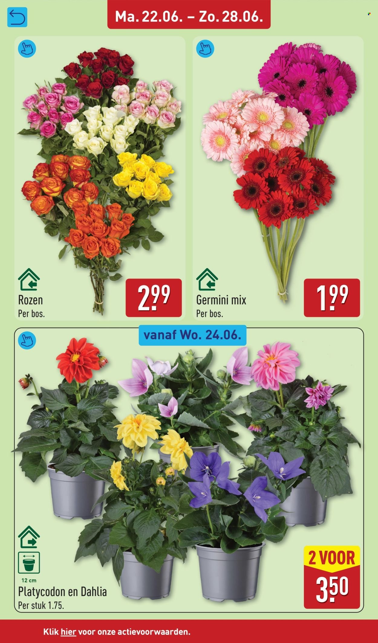 ALDI folder - Van maandag 22 juni 2026